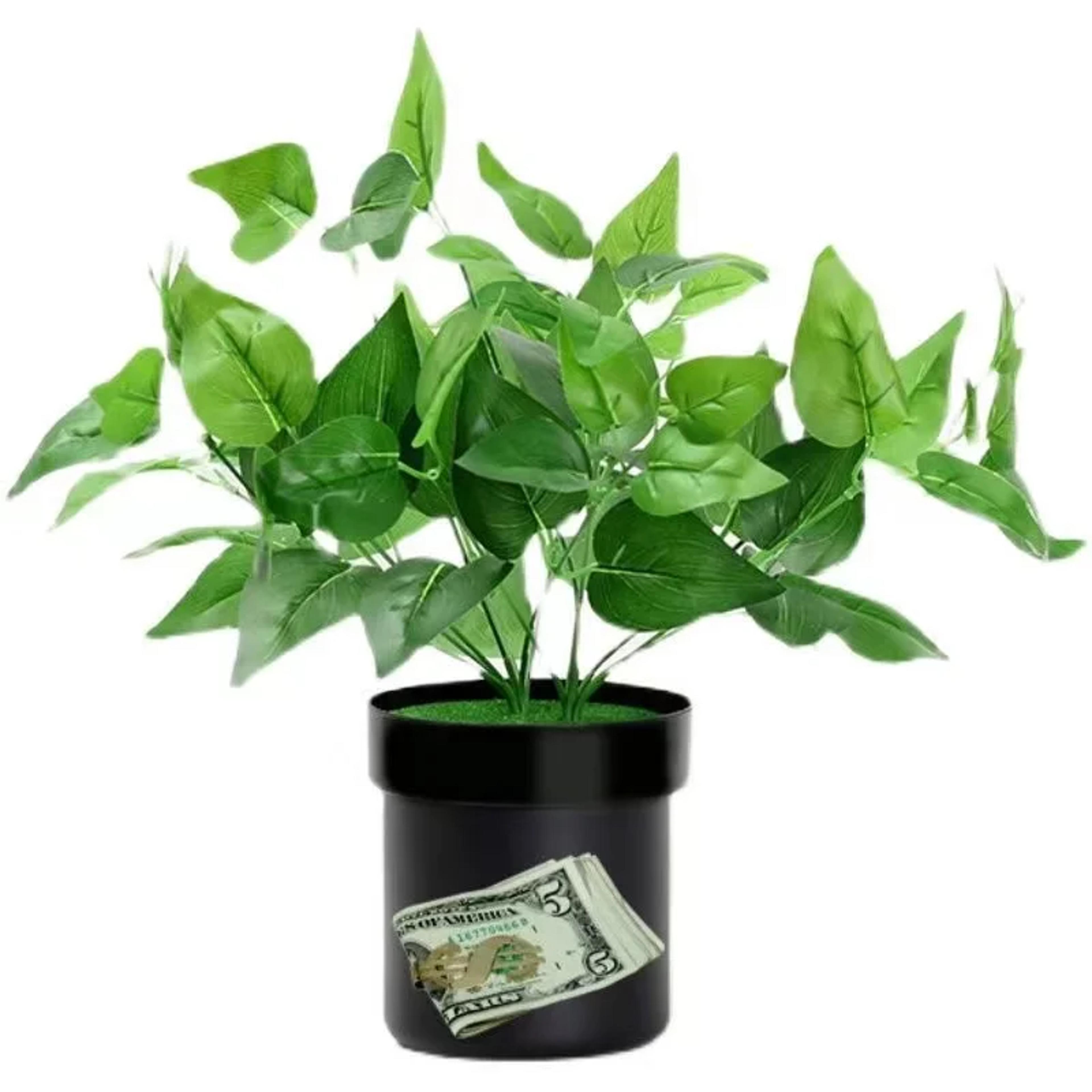 secret plant stash hidden safe flower pot organizer for valuables