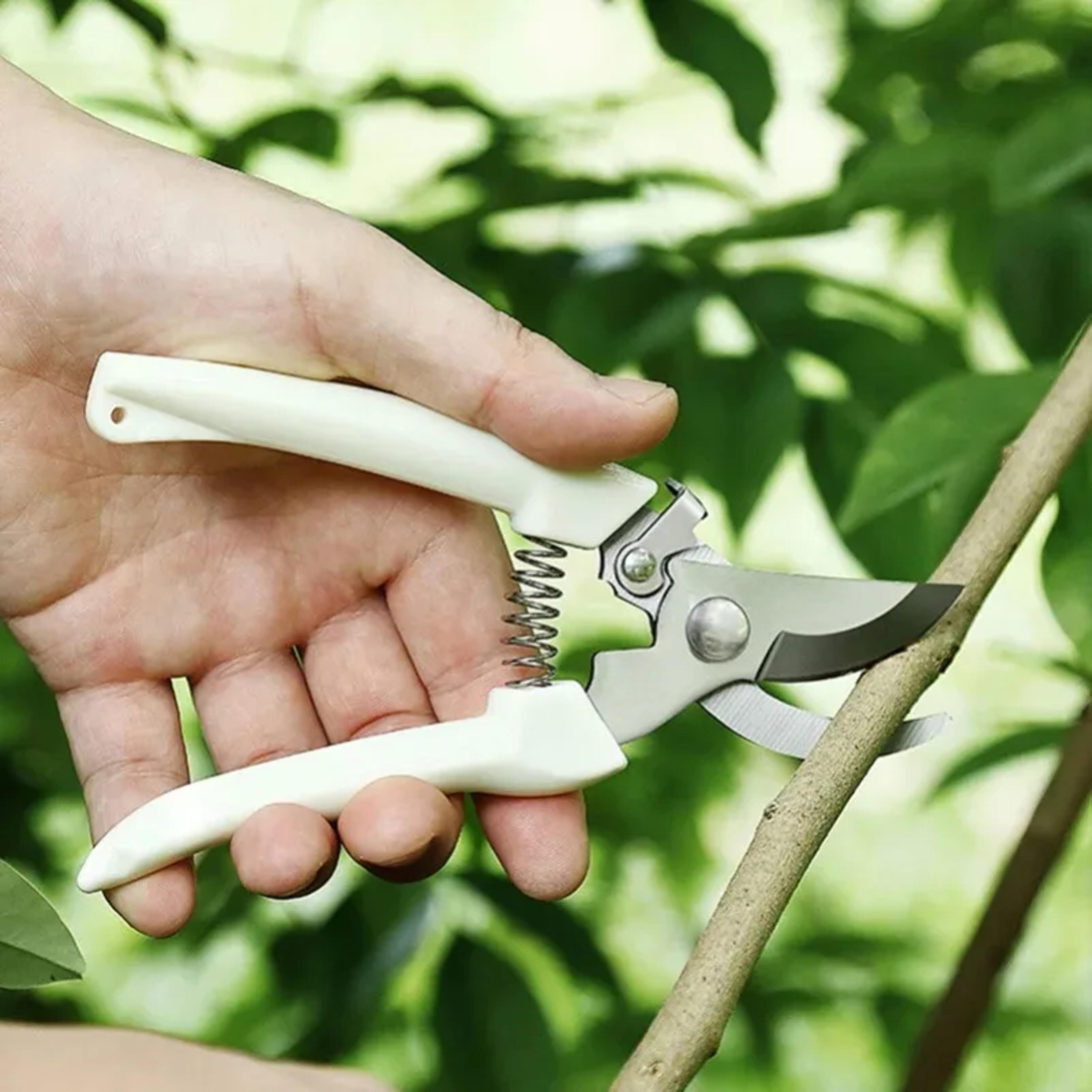 Professional Garden Pruning Scissors For Fruit Trees Flowers  Precision Trimming 2