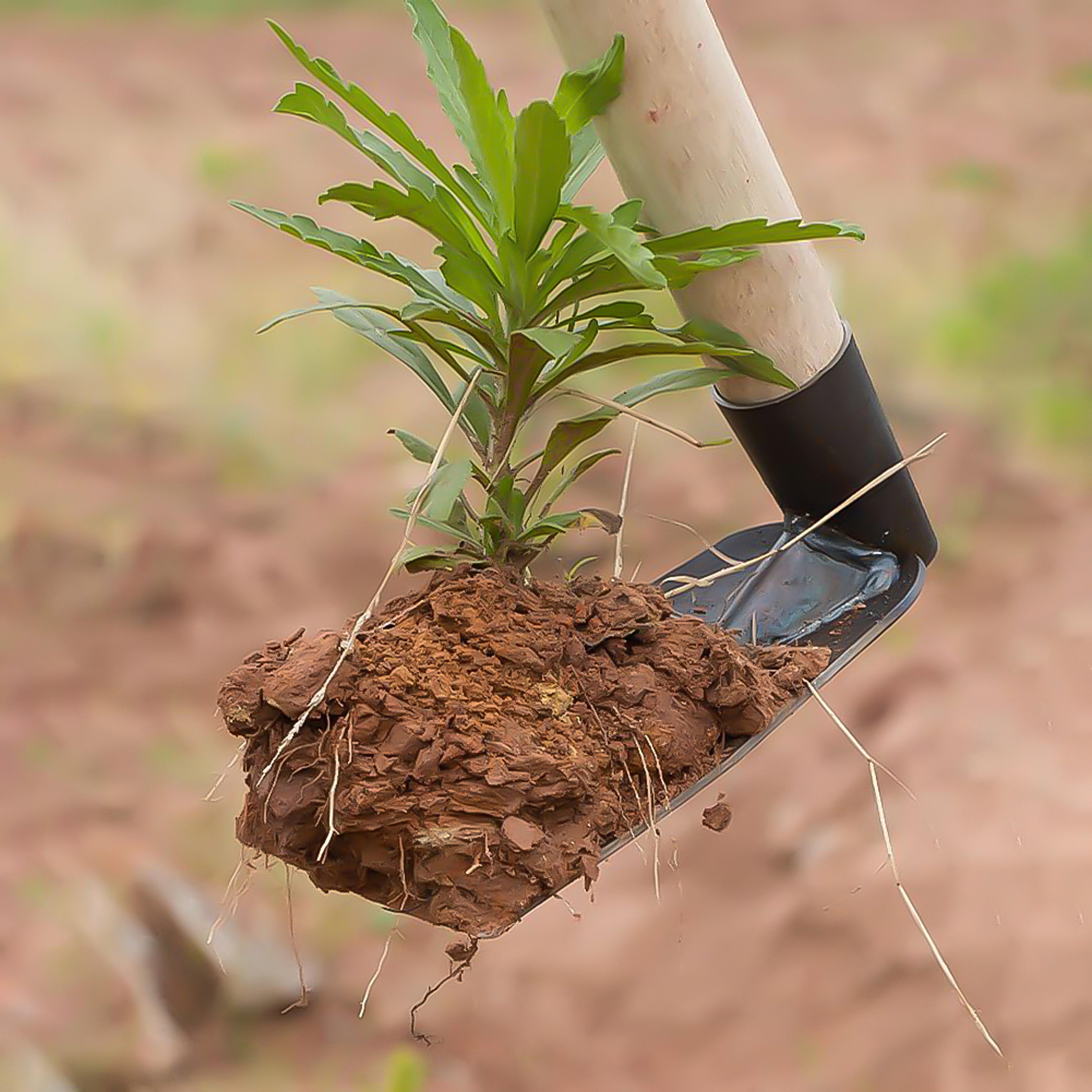 Heavy Duty Garden Hoe Hand Tool For Weeding Digging  Soil Loosening 2