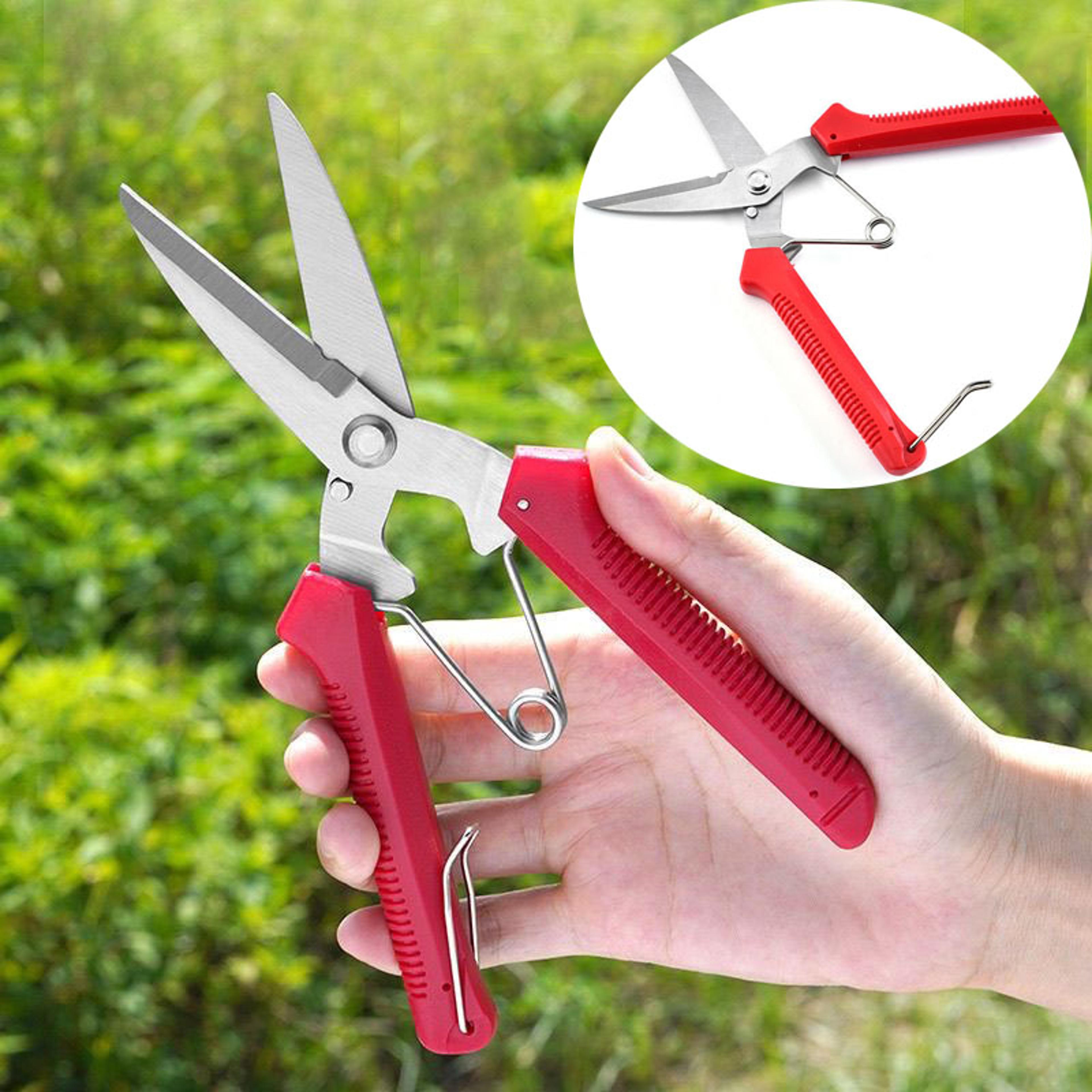 precisioncut stainless steel pruning shears for bonsai, garden plants & household trimming