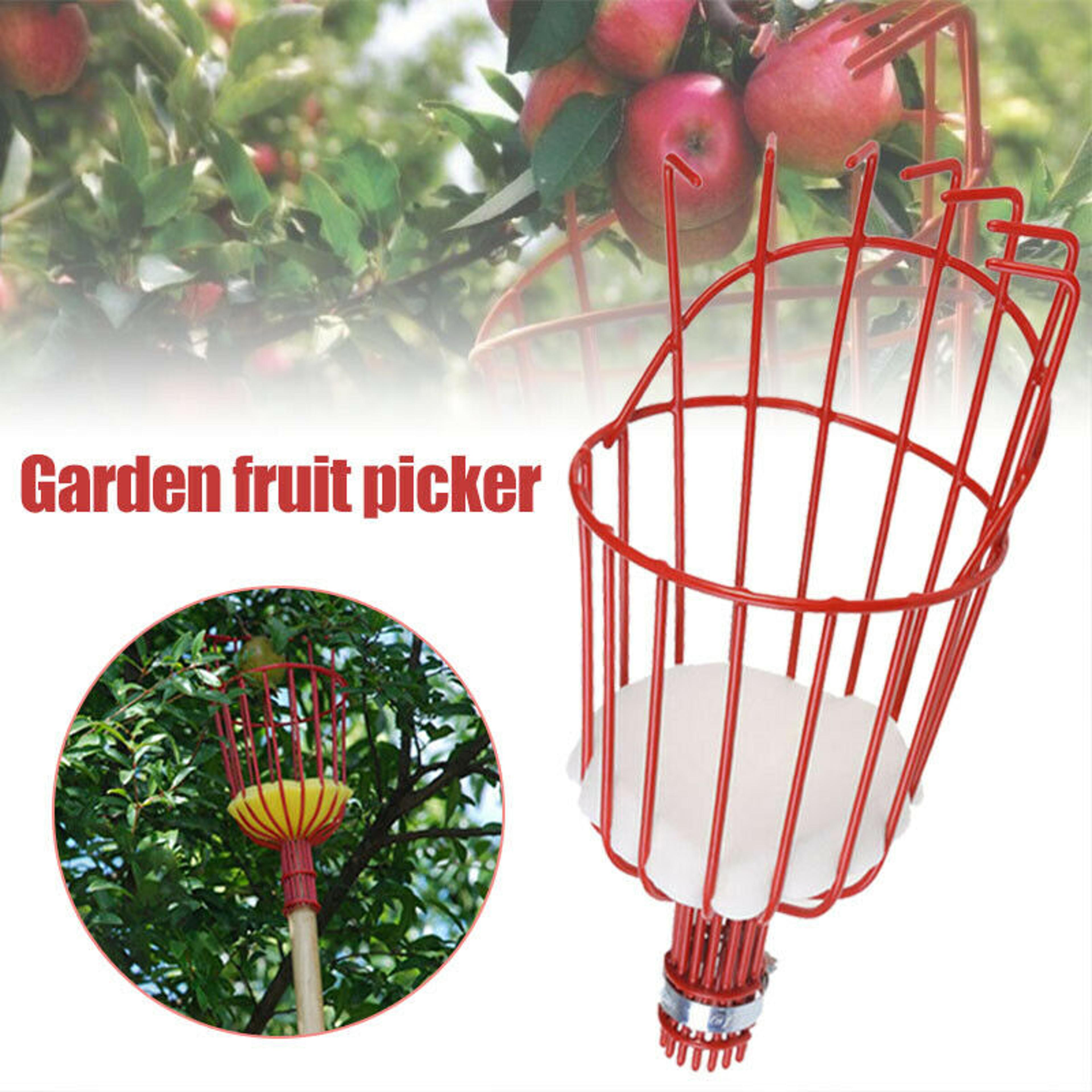 harvestreach fruit picker basket tool for apples, peaches & orchard gardening