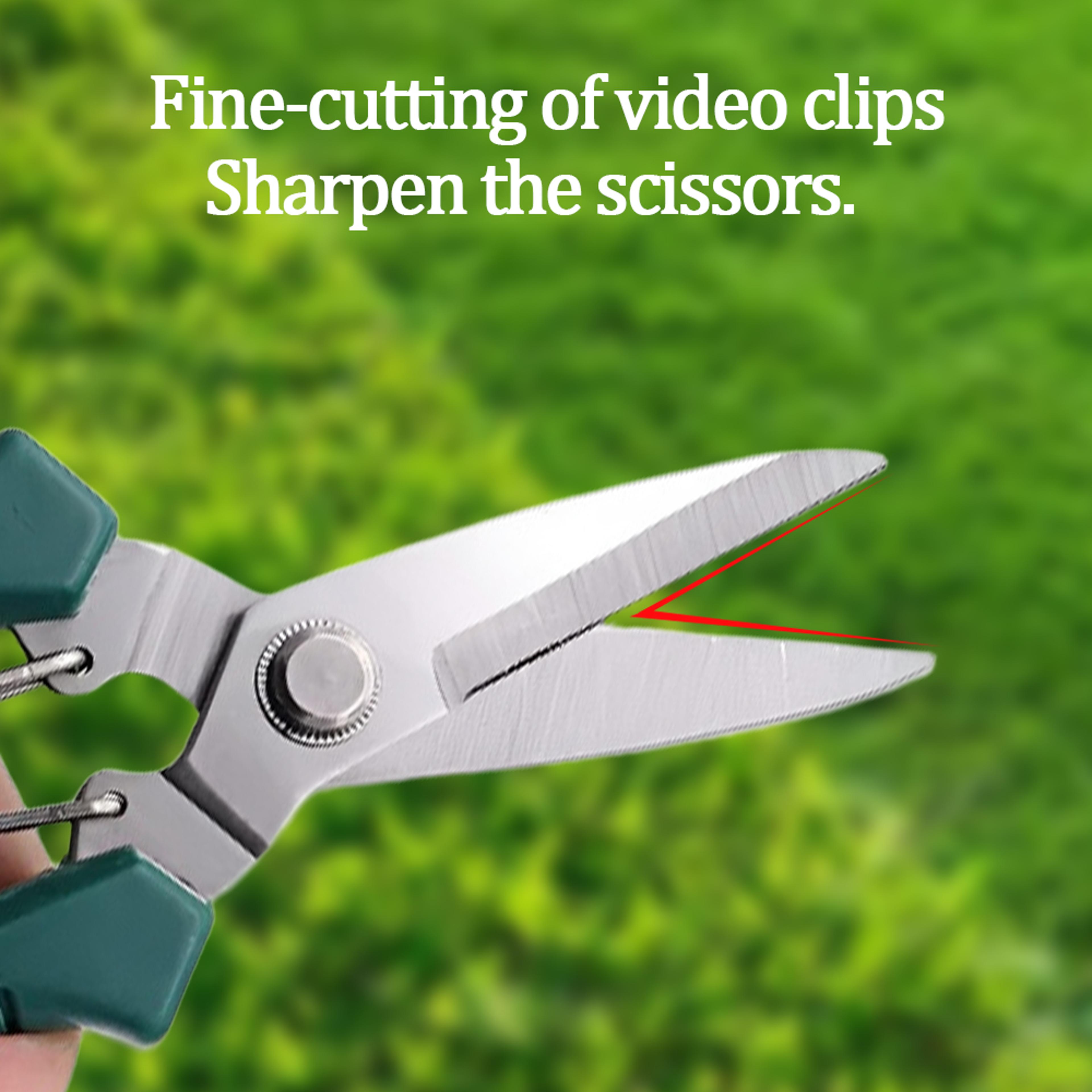 Stainless Steel Pruning Shears With Non Slip Handle For Bonsai And Garden Trimming 2