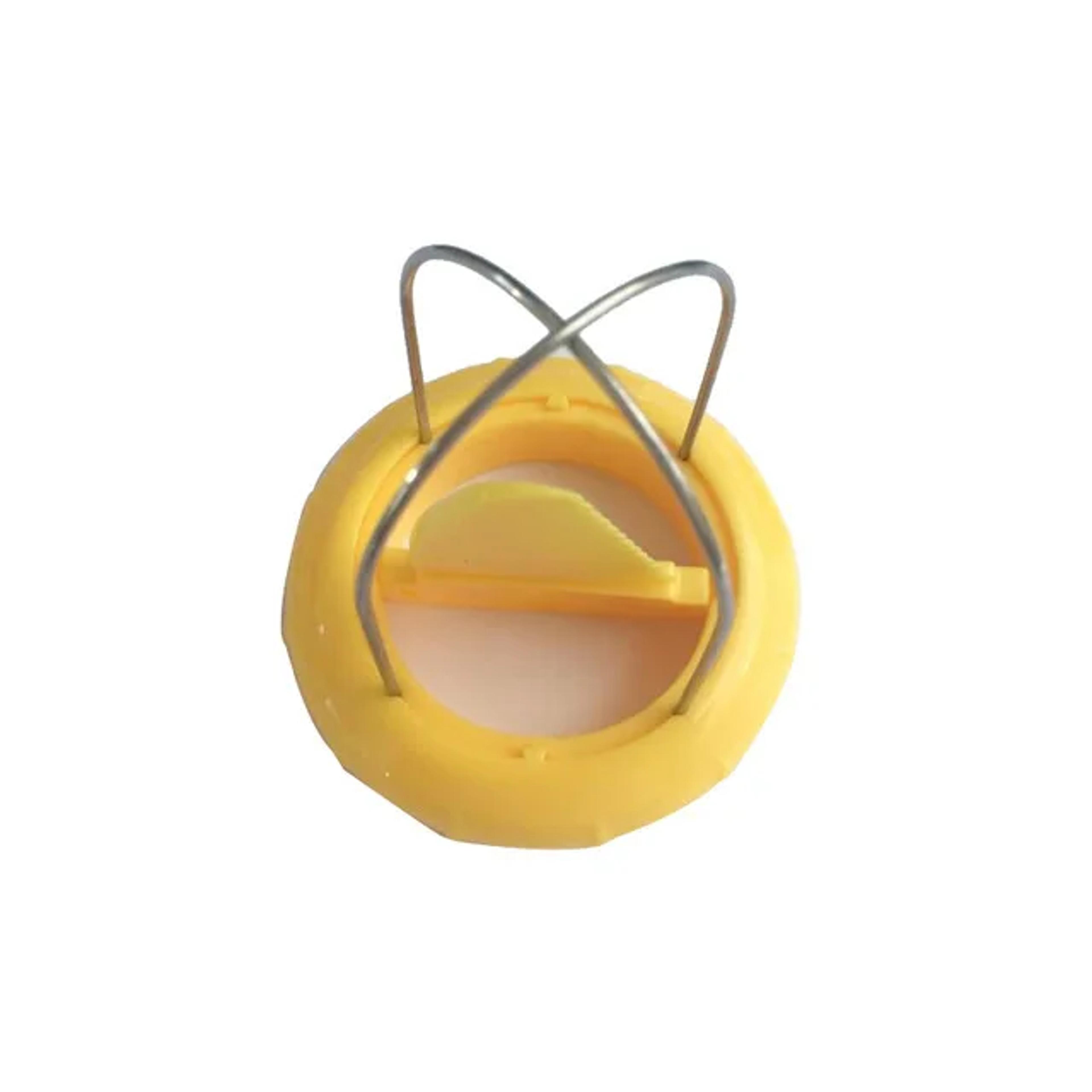 Easy Kiwi Peeler Slicer Tool For Quick Clean Fruit Prep 6