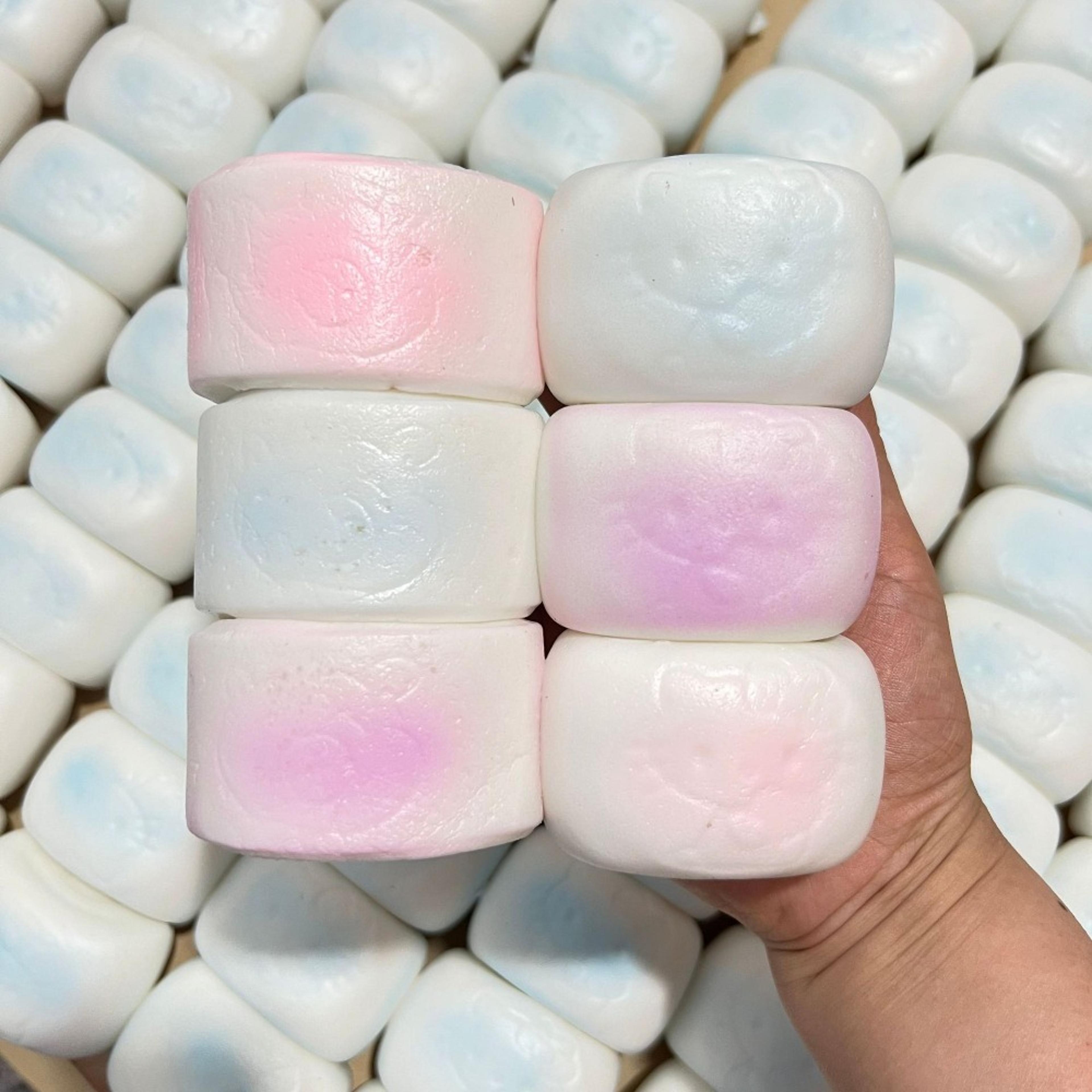 steamed bun squishy toy slow rising stress relief sensory fidget toy