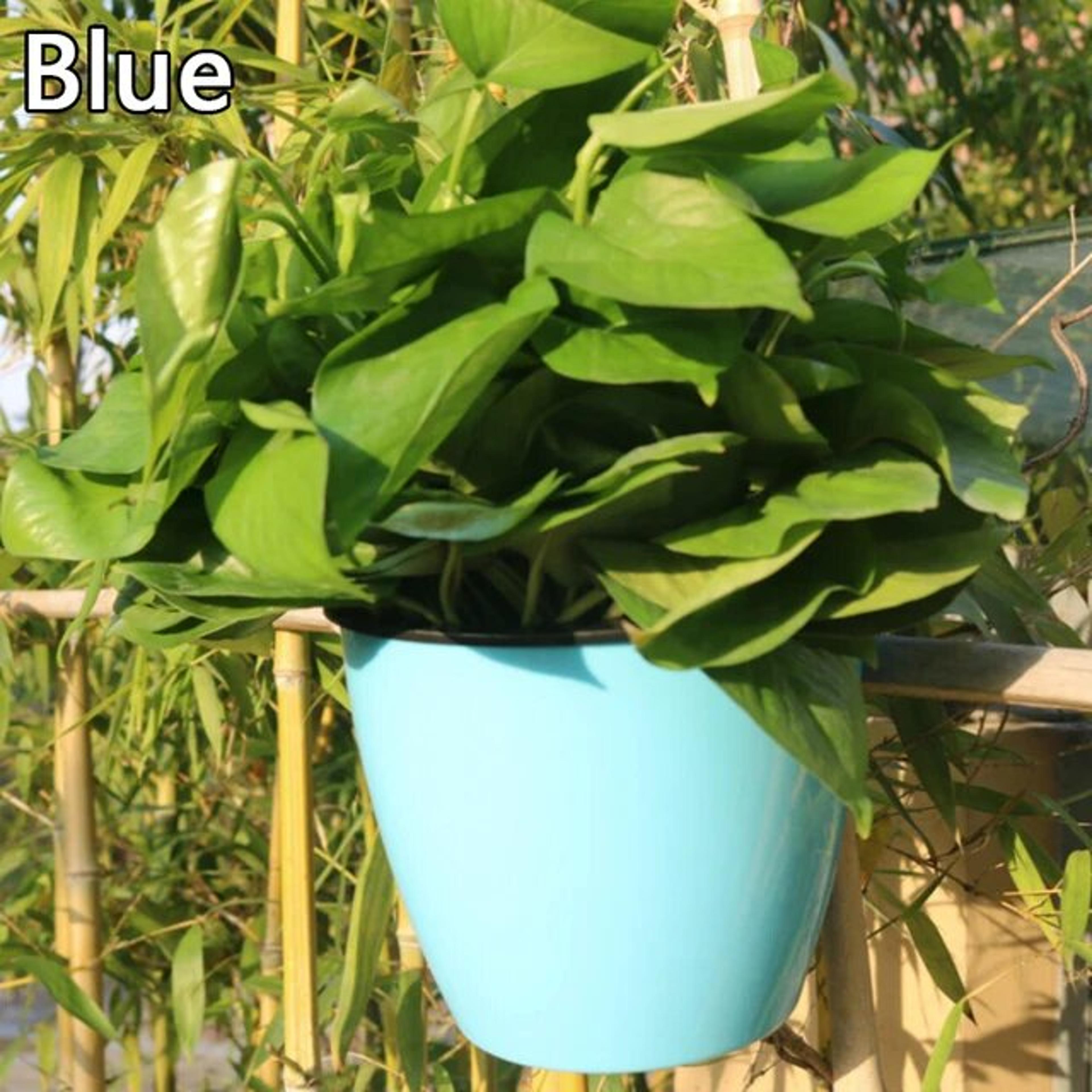Self Watering Hanging Basket Cyan