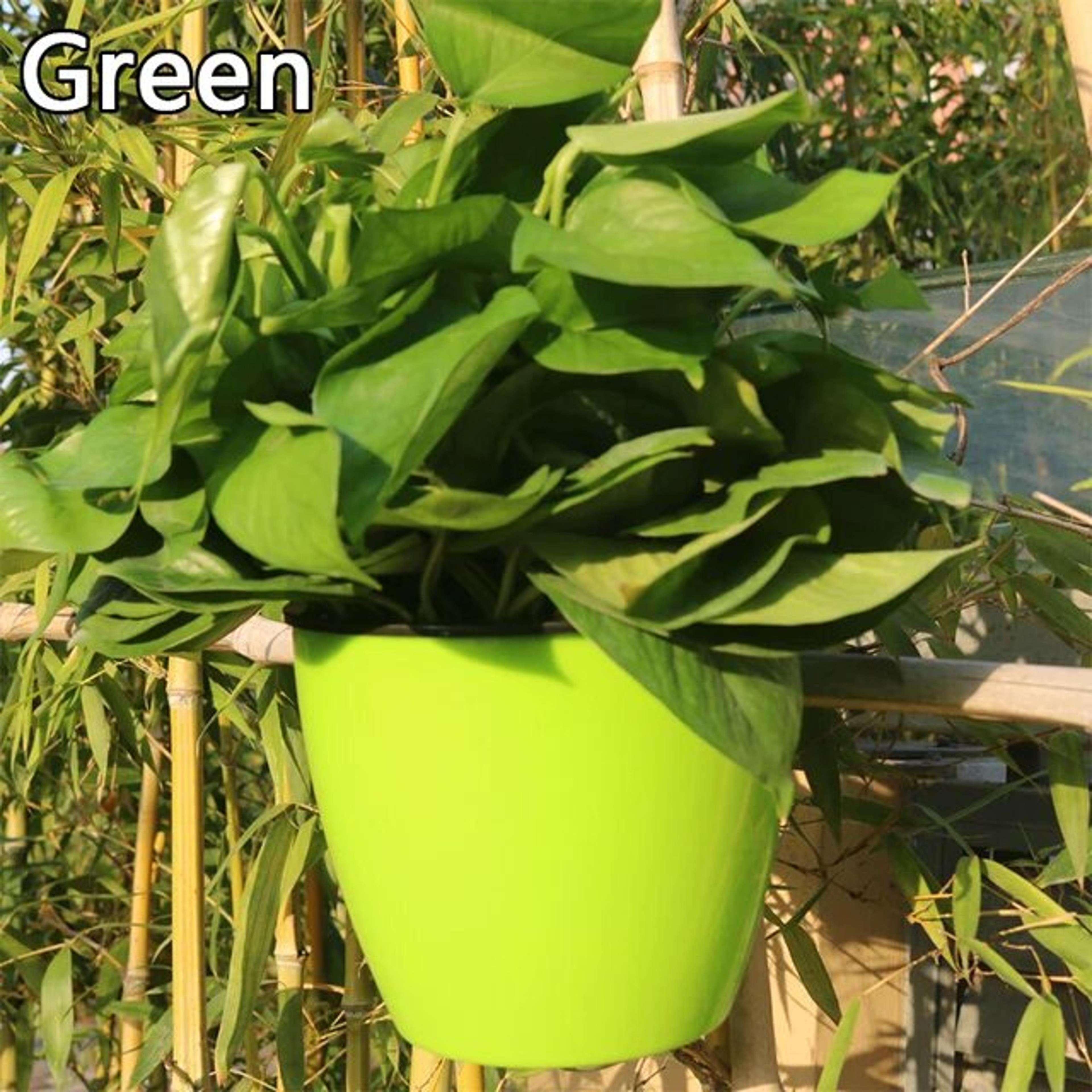 Self Watering Hanging Basket Green