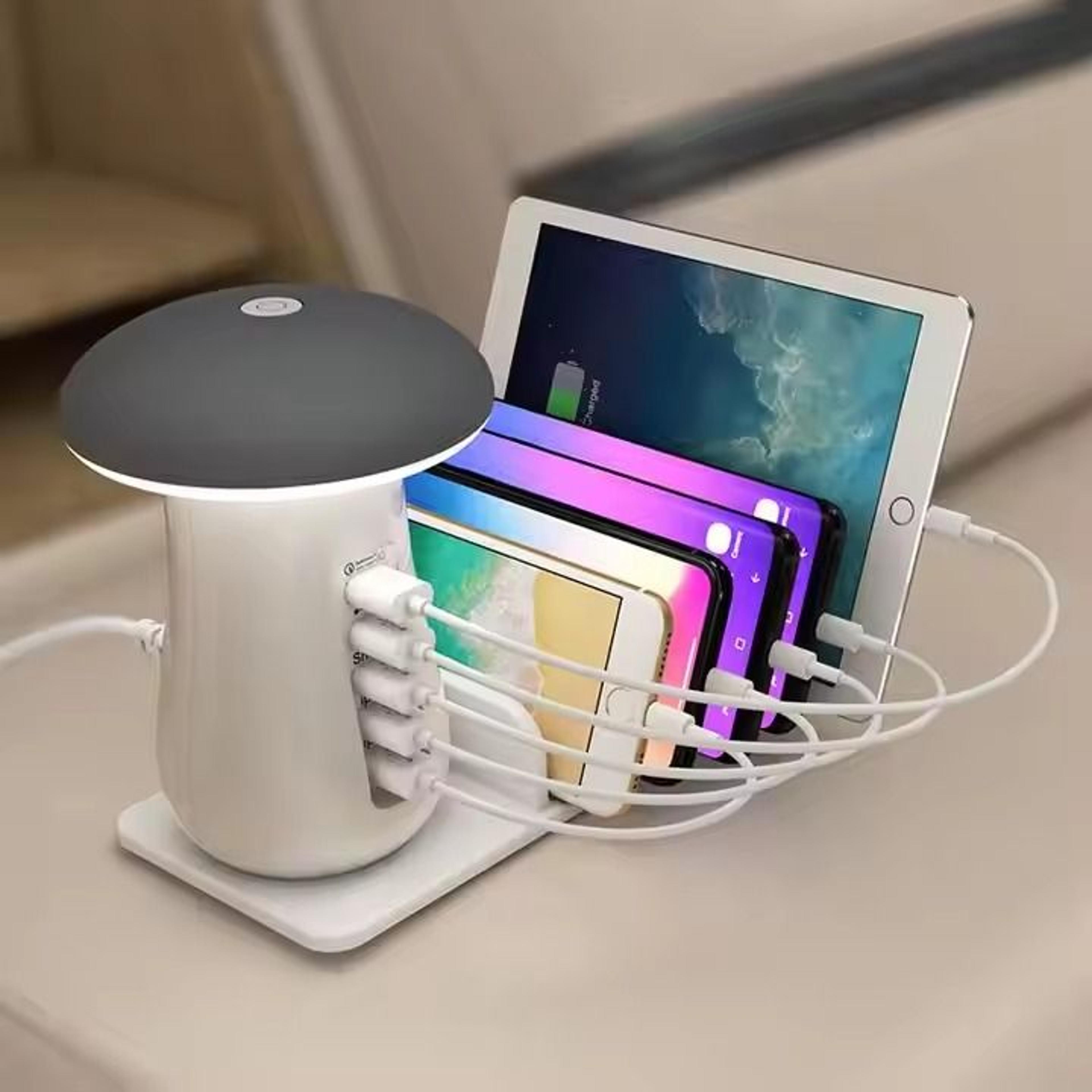 Stylish LED Desk Organizer with USB Ports