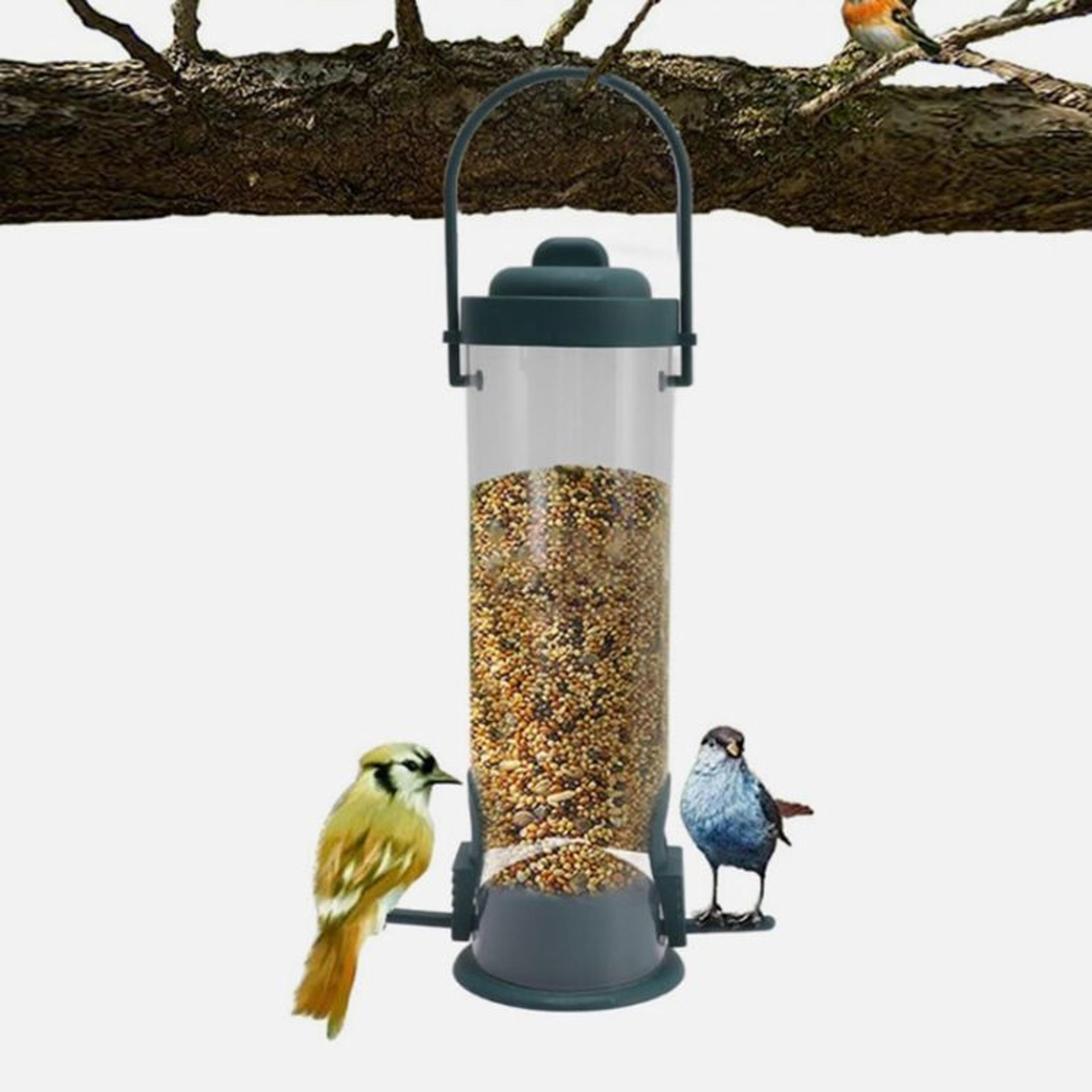 squirrel proof bird feeder with weight-activated spinning guard for calm feeding