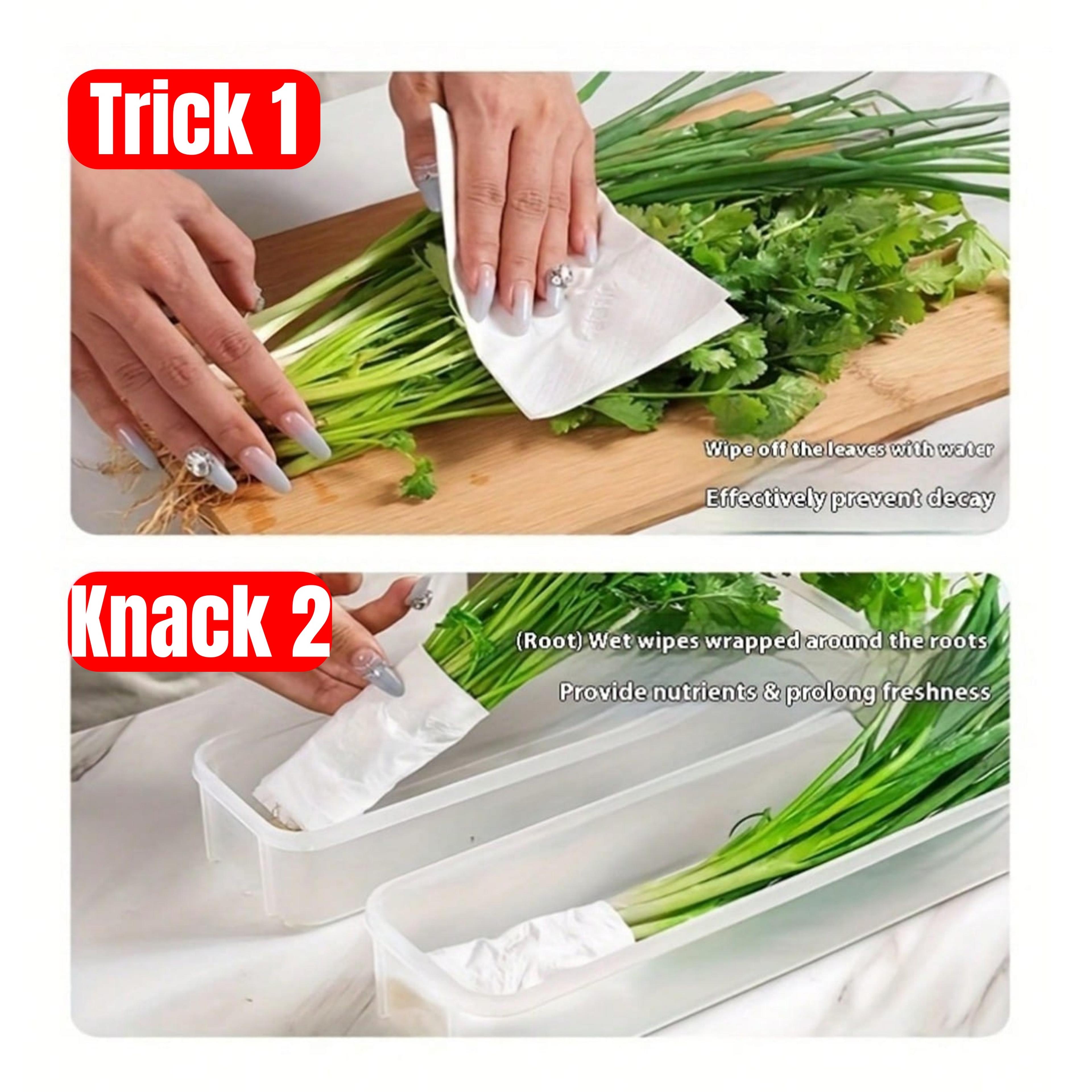 FreshLock Refrigerator Storage Containers With Lids For Produce Eggs  Meal Prep 4