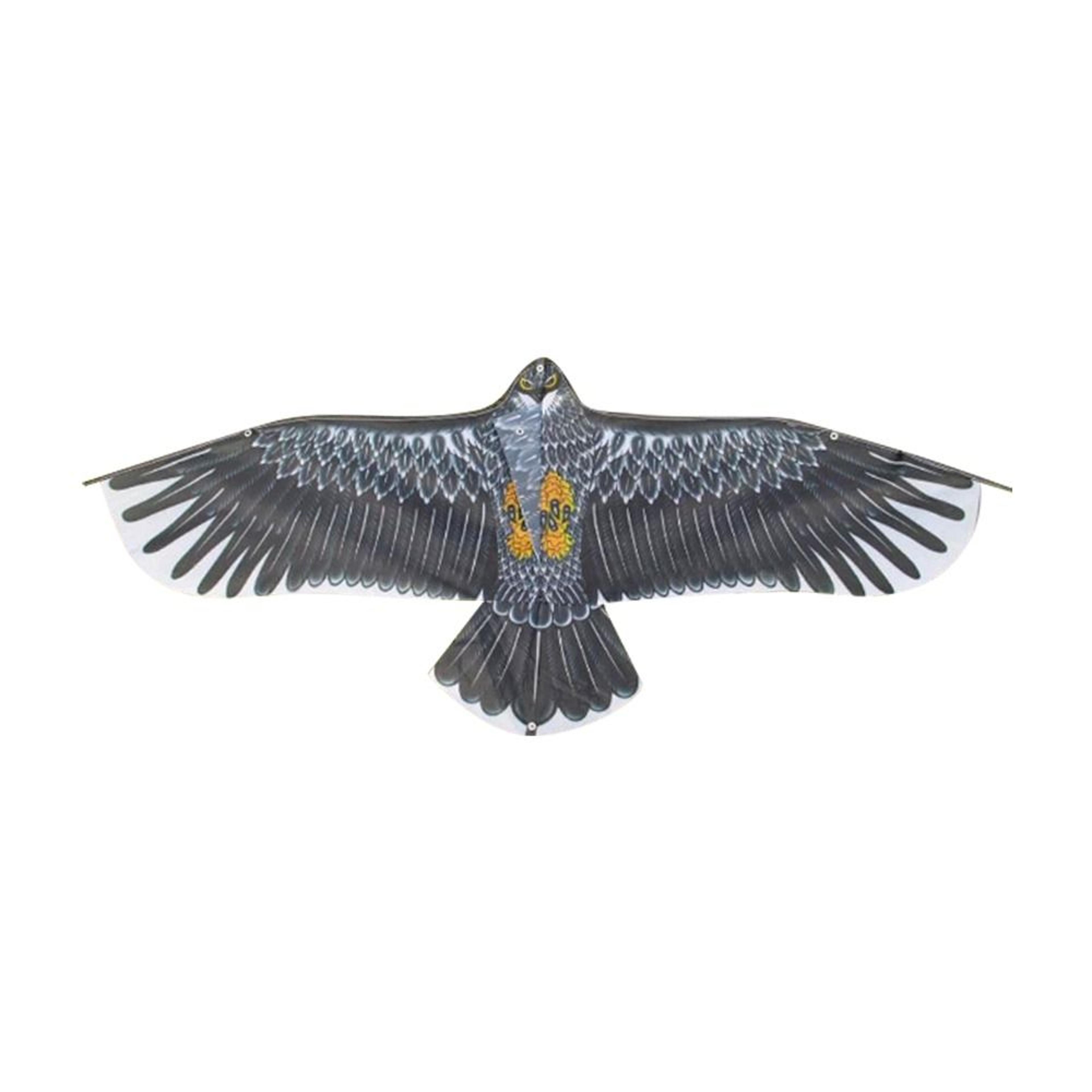 Large Eagle Kite With Line Outdoor Flying Bird Kite For Kids And Family Fun 1