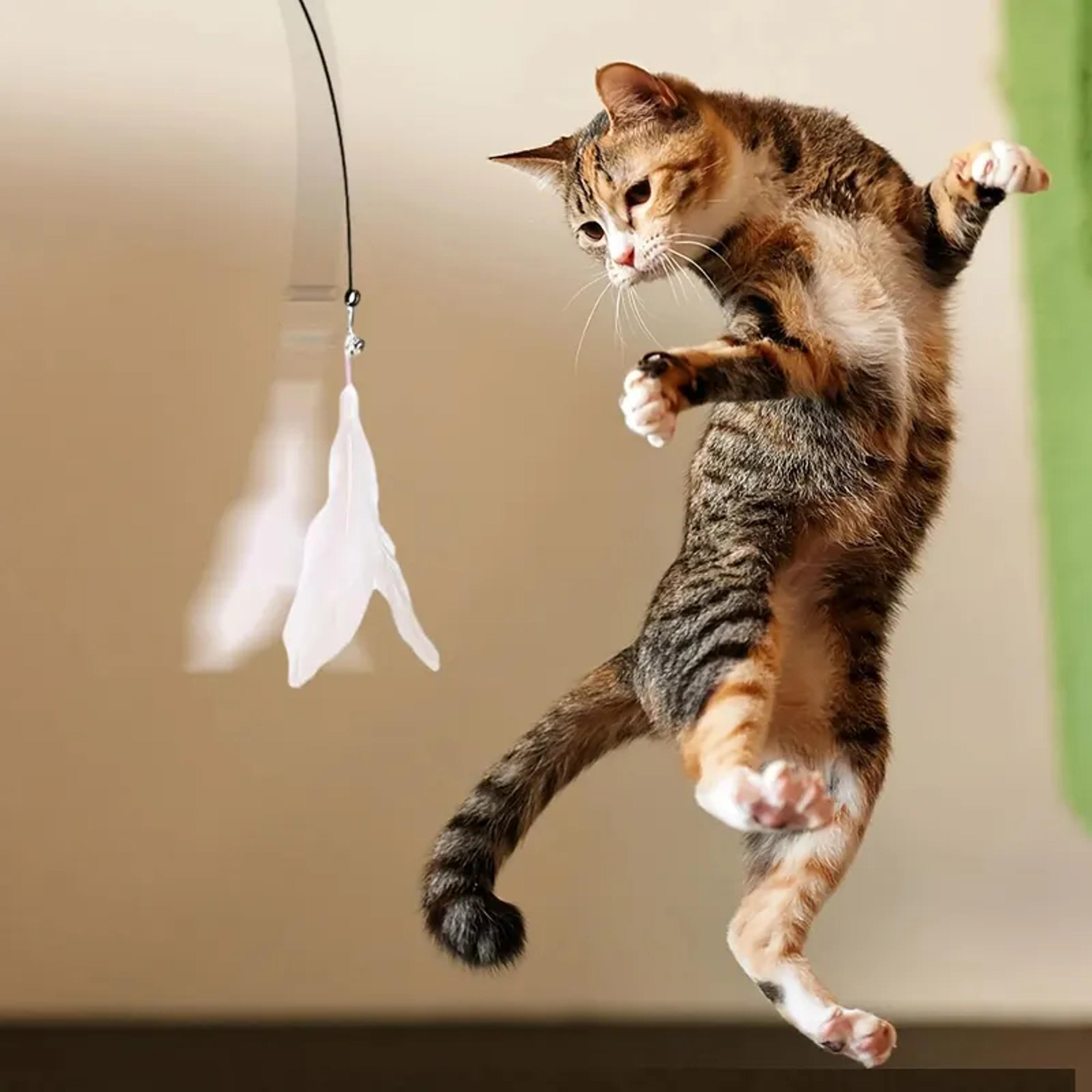 Interactive Cat Teaser Wand With Suction Cup And Feather Bell Toy For Indoor Cats 5