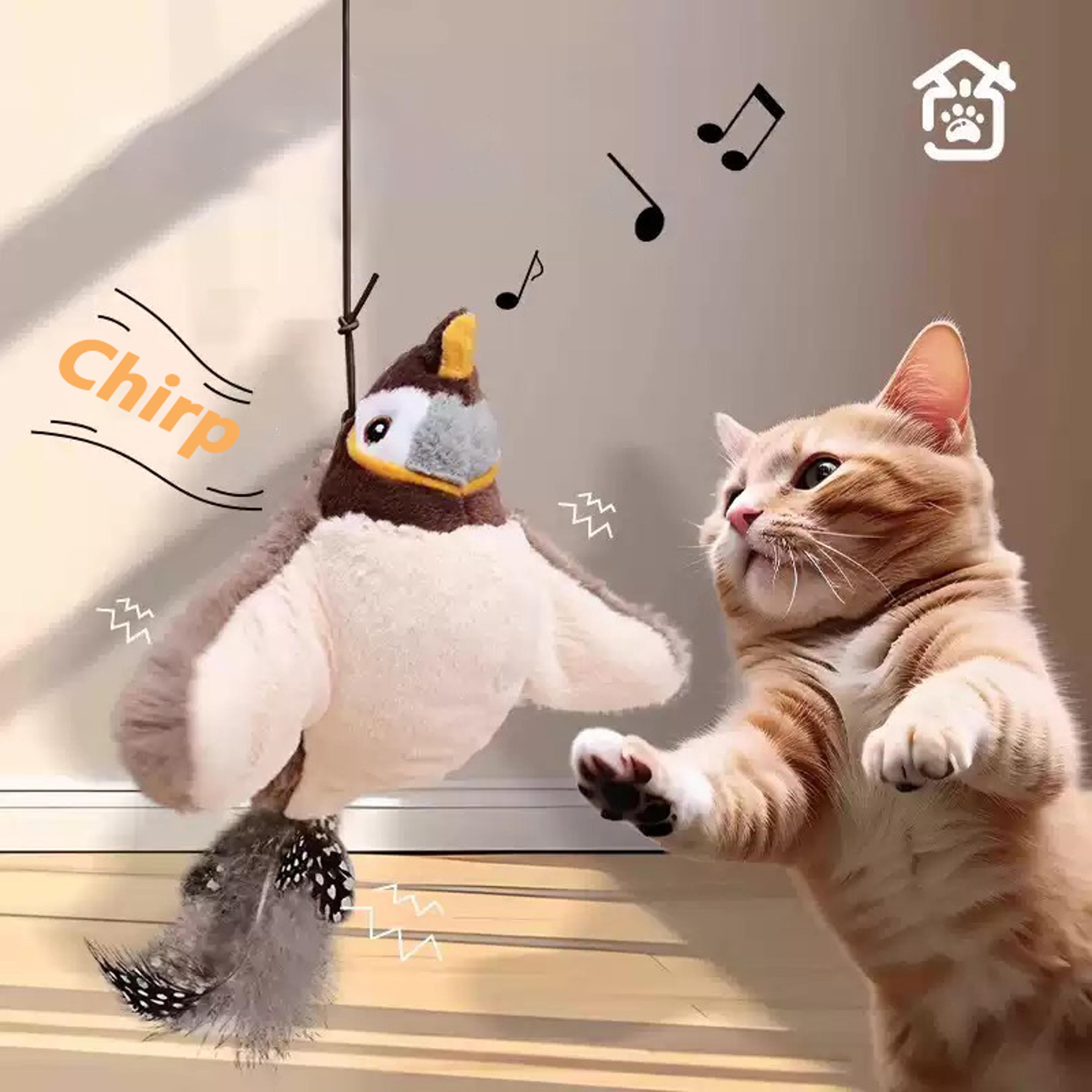 Interactive Cat Bird Toy Wall Hanging Cat Teaser Toy With Sound  Catnip 8