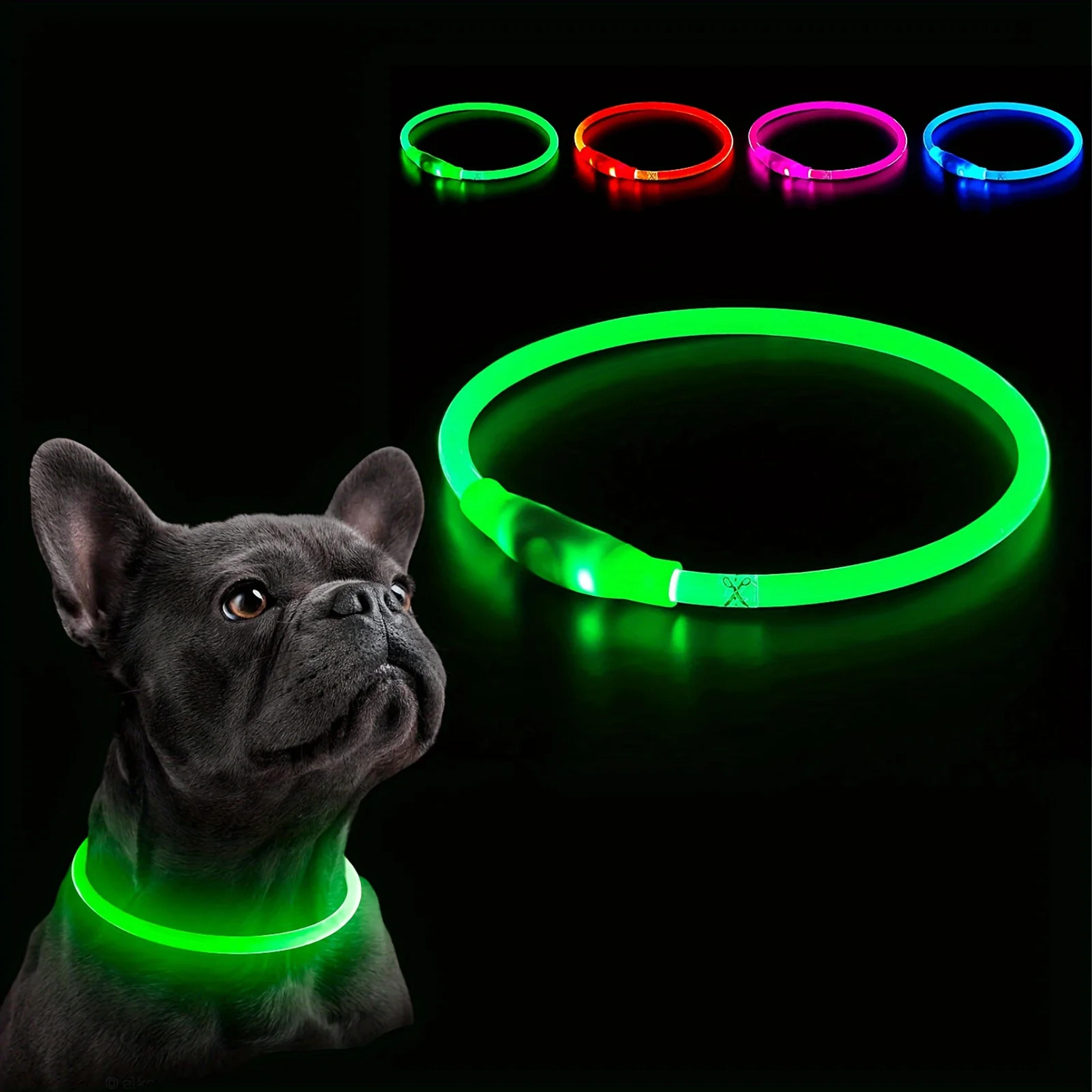 USB Rechargeable LED Dog Collar For Night Safety Light Up Glowing Pet Collar 3