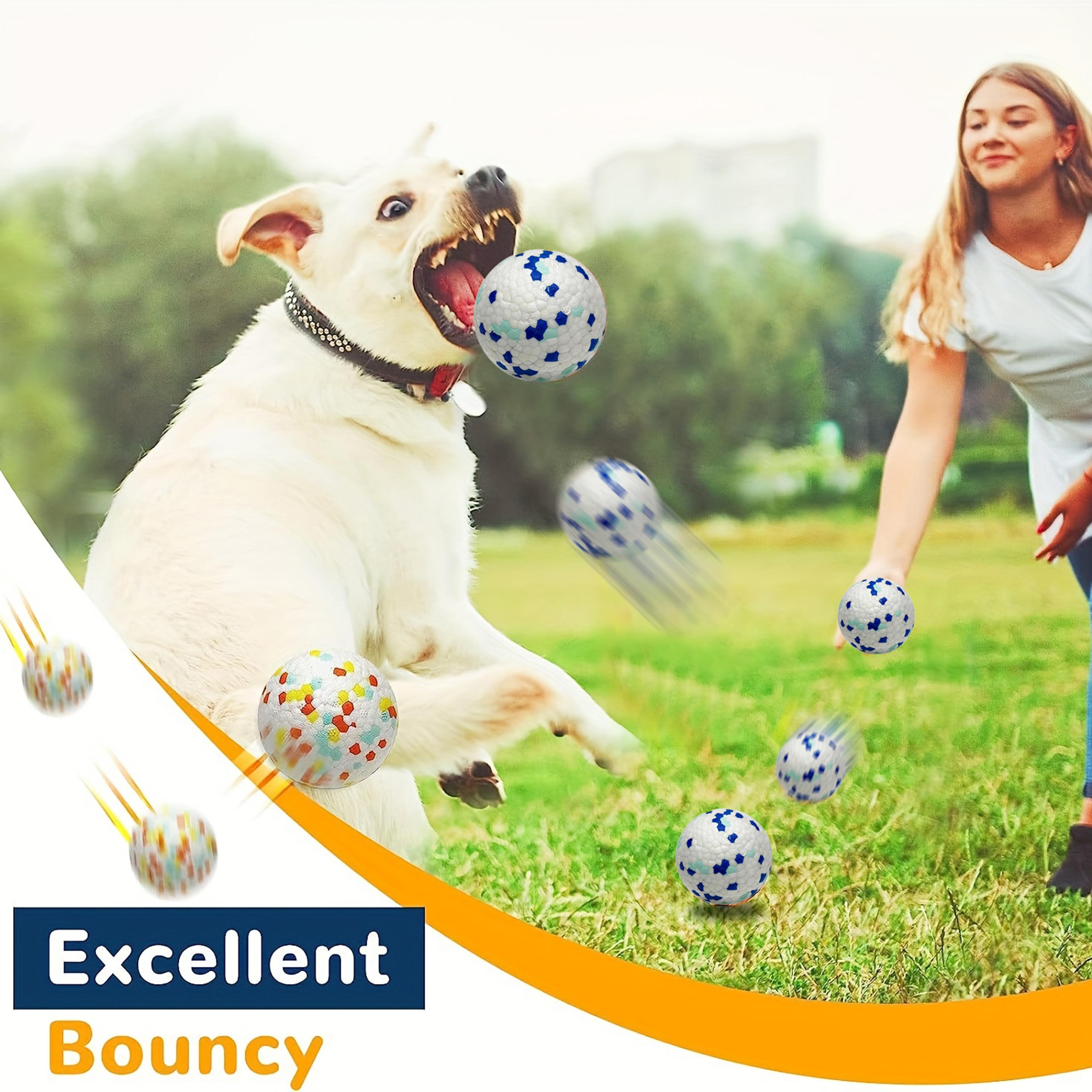 Durable Interactive Dog Toy  Teeth Grinding  Chew Ball For Dogs Pet Toy Accessory 2