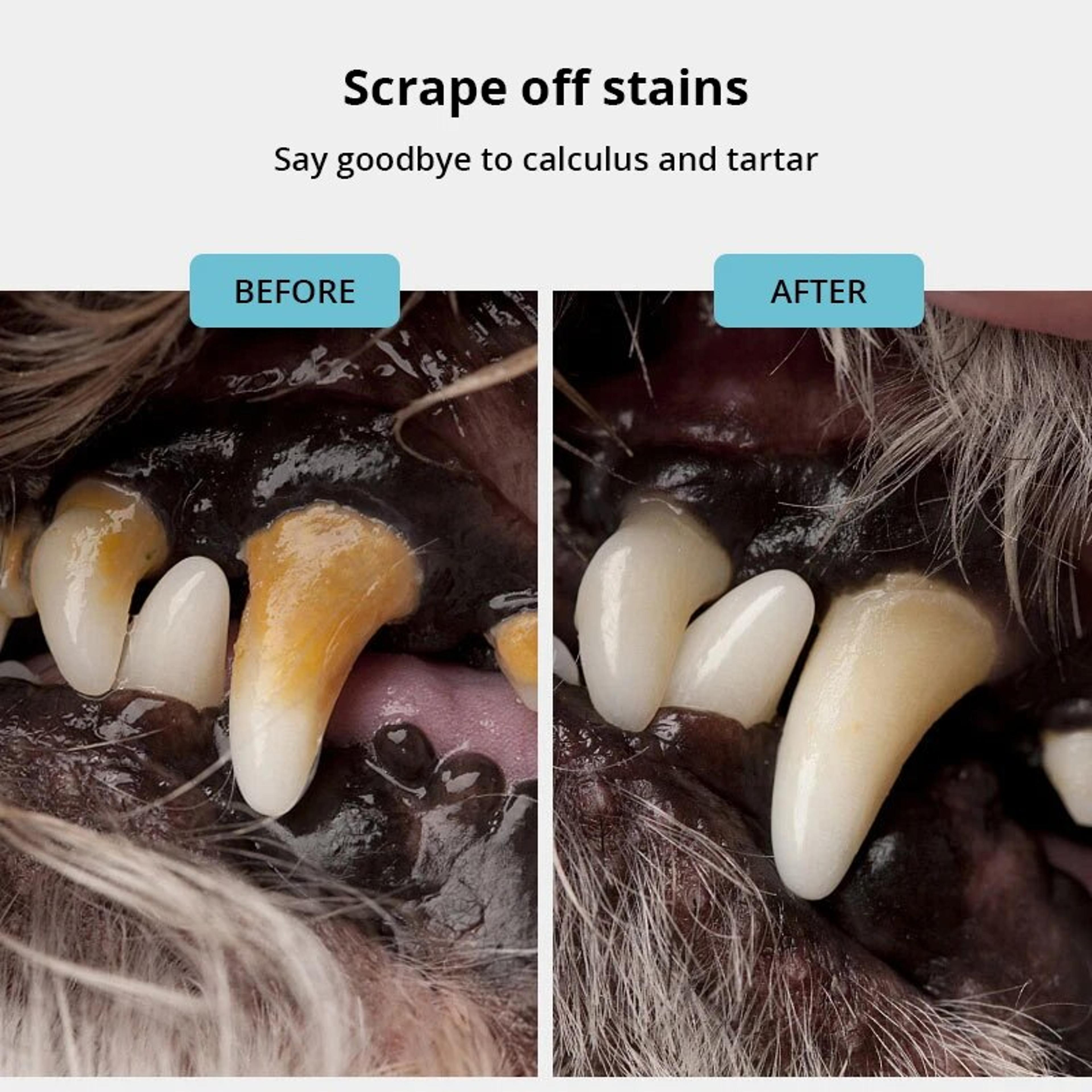 Stainless Steel Pet Tooth Scraper  Tartar Remover  Breath Freshener For Dogs And Puppies 2