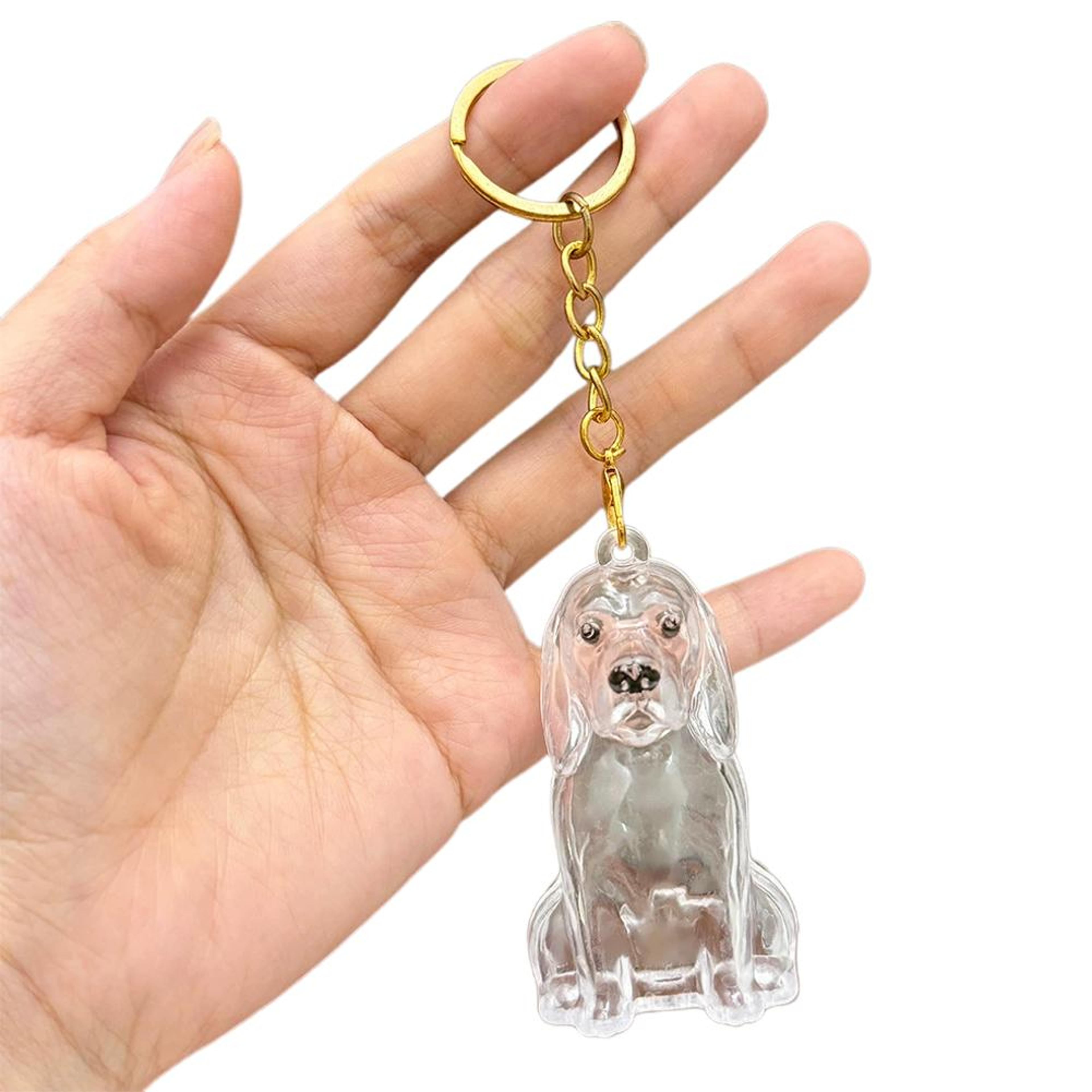 Dog Hair Collection Keychain Charm  Memorial Pet Hair Storage Box For Keepsakes 3