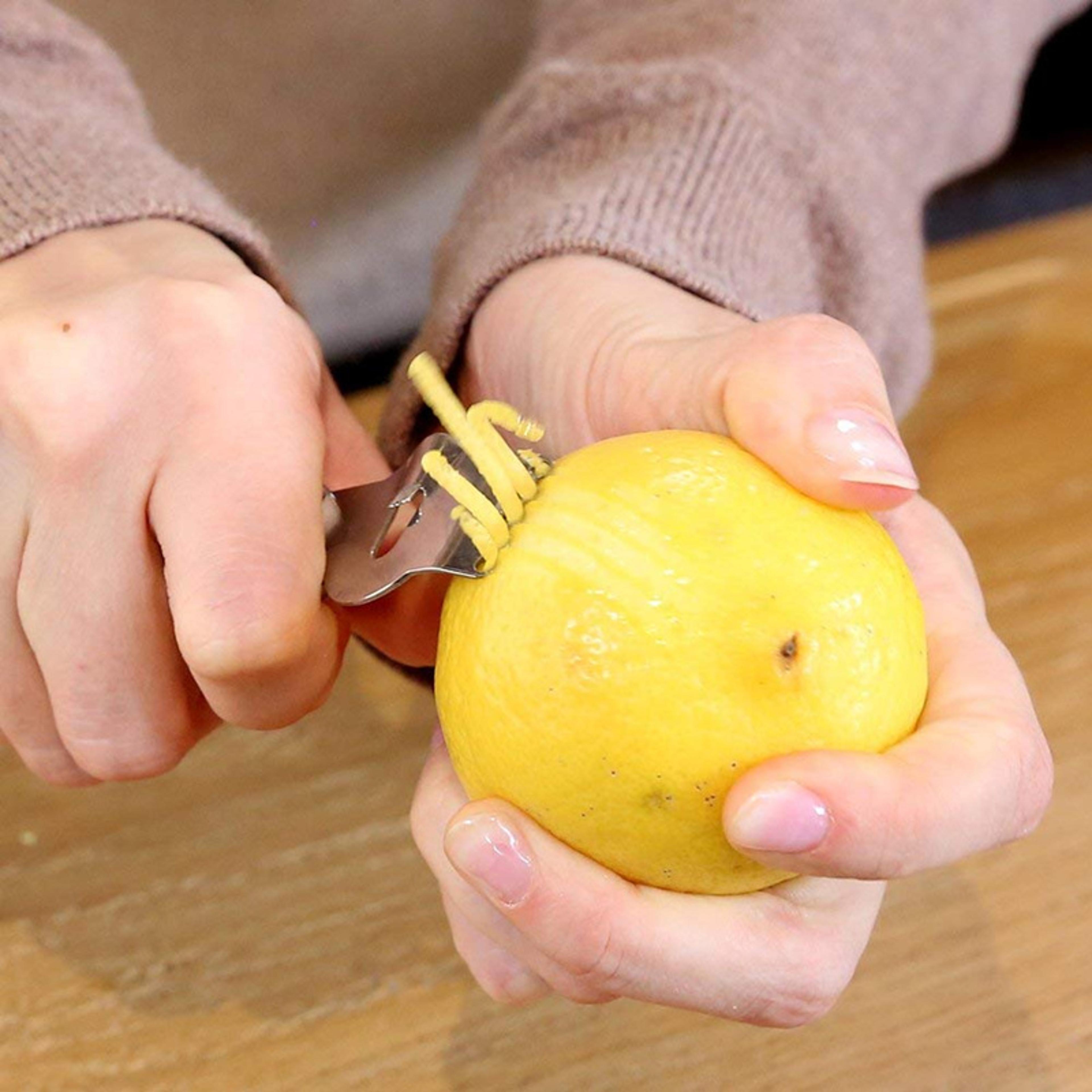 stainless steel lemon zester grater with channel knife and hanging loop for citrus fruits