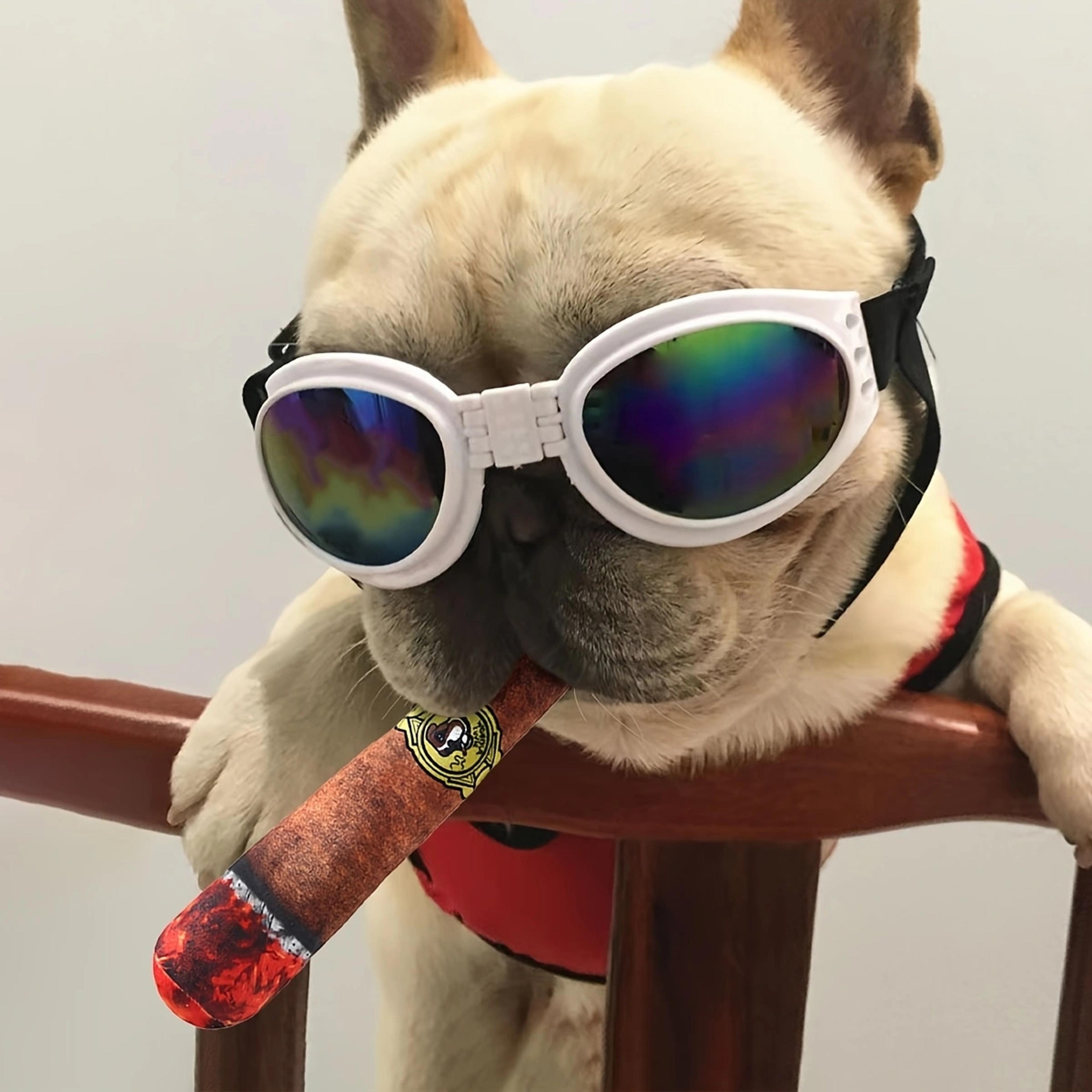 Simulation Cigar Toy For Pets  Fun Chew Toy To Relieve Boredom  Help Molars 1