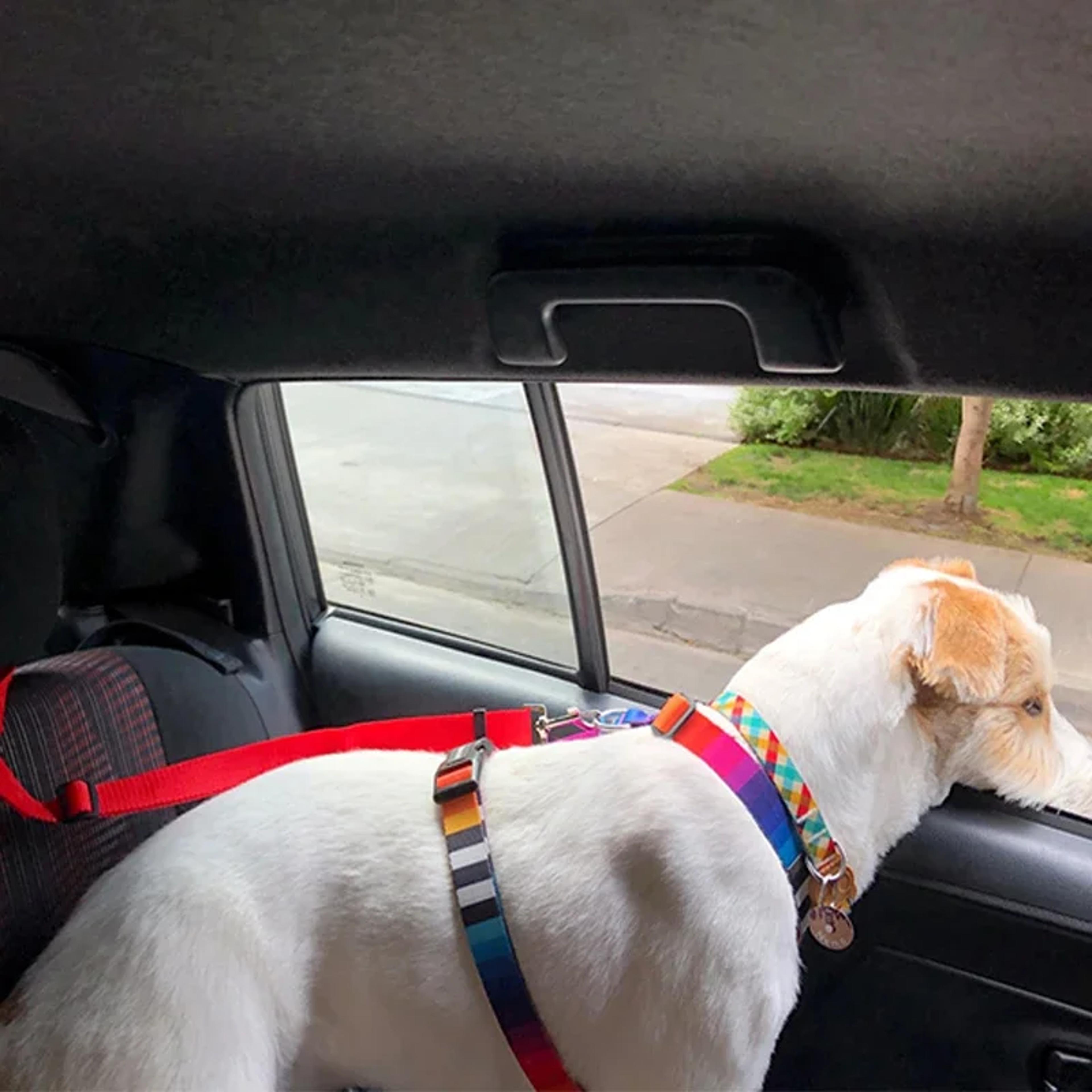 adjustable two in one pet car seat belt leash for dogs & cats
