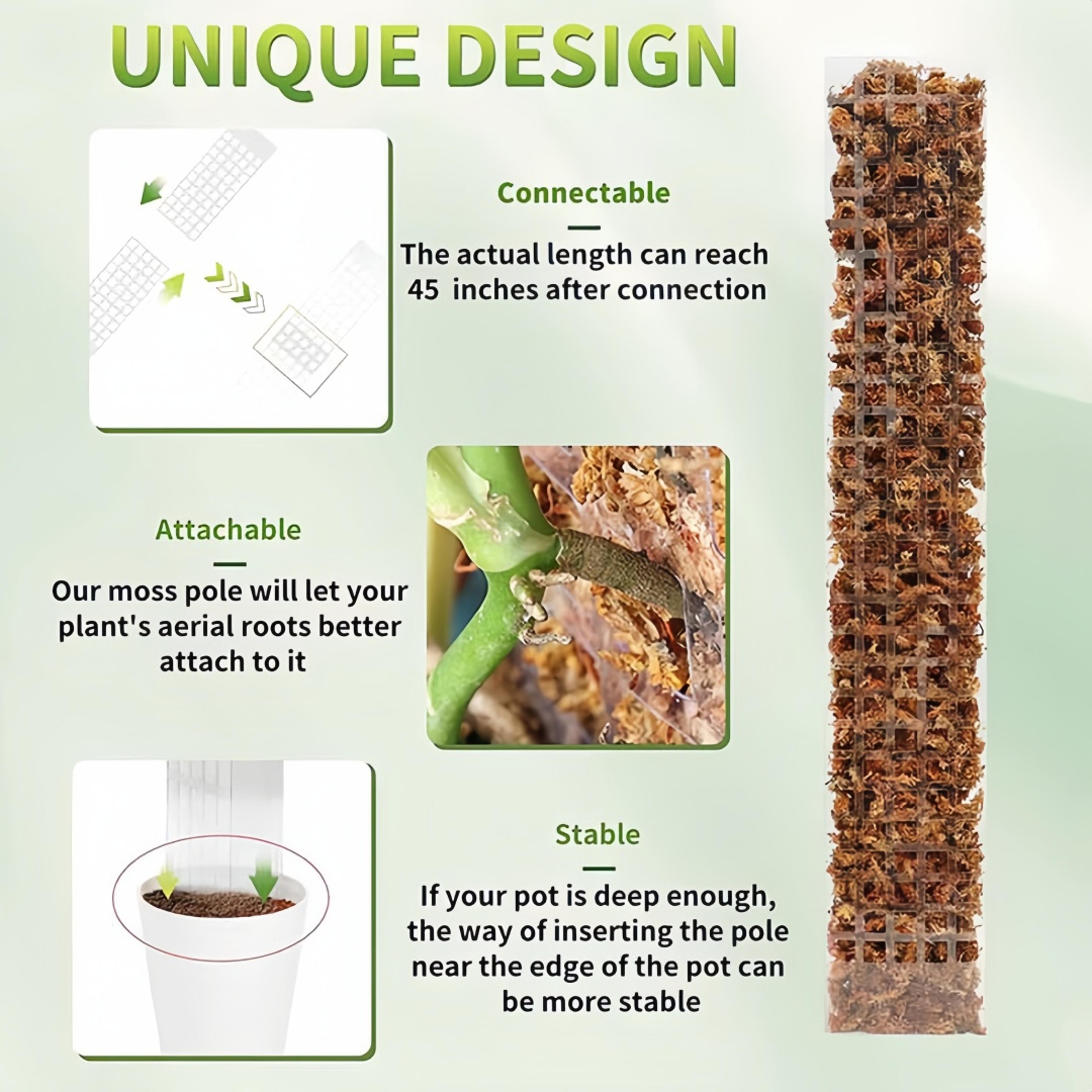 Moss Pole For Plants Indoor Plant Support Stick Climbing Plant Tutor For Growth 7