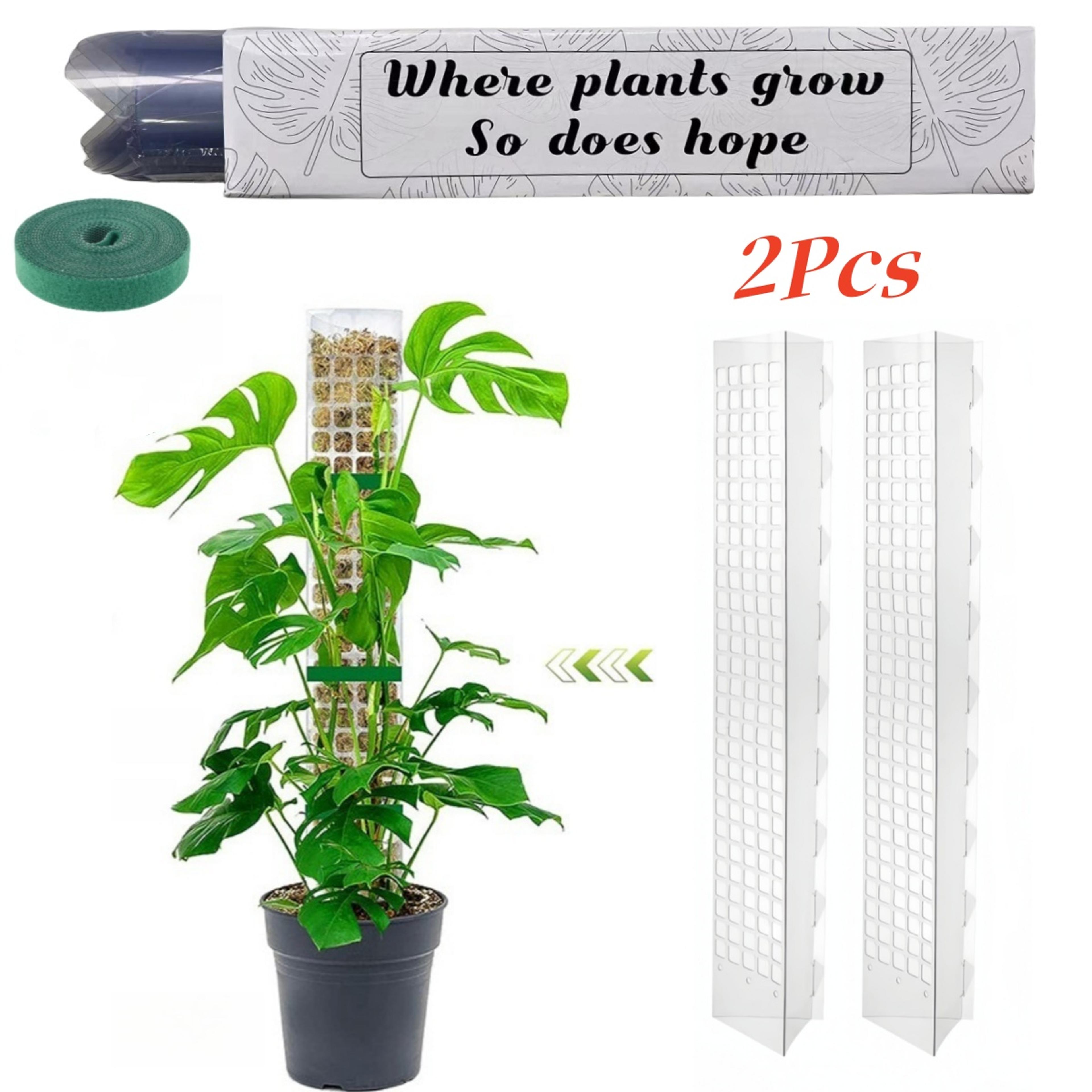 Moss Pole For Plants Indoor Plant Support Stick Climbing Plant Tutor For Growth 2