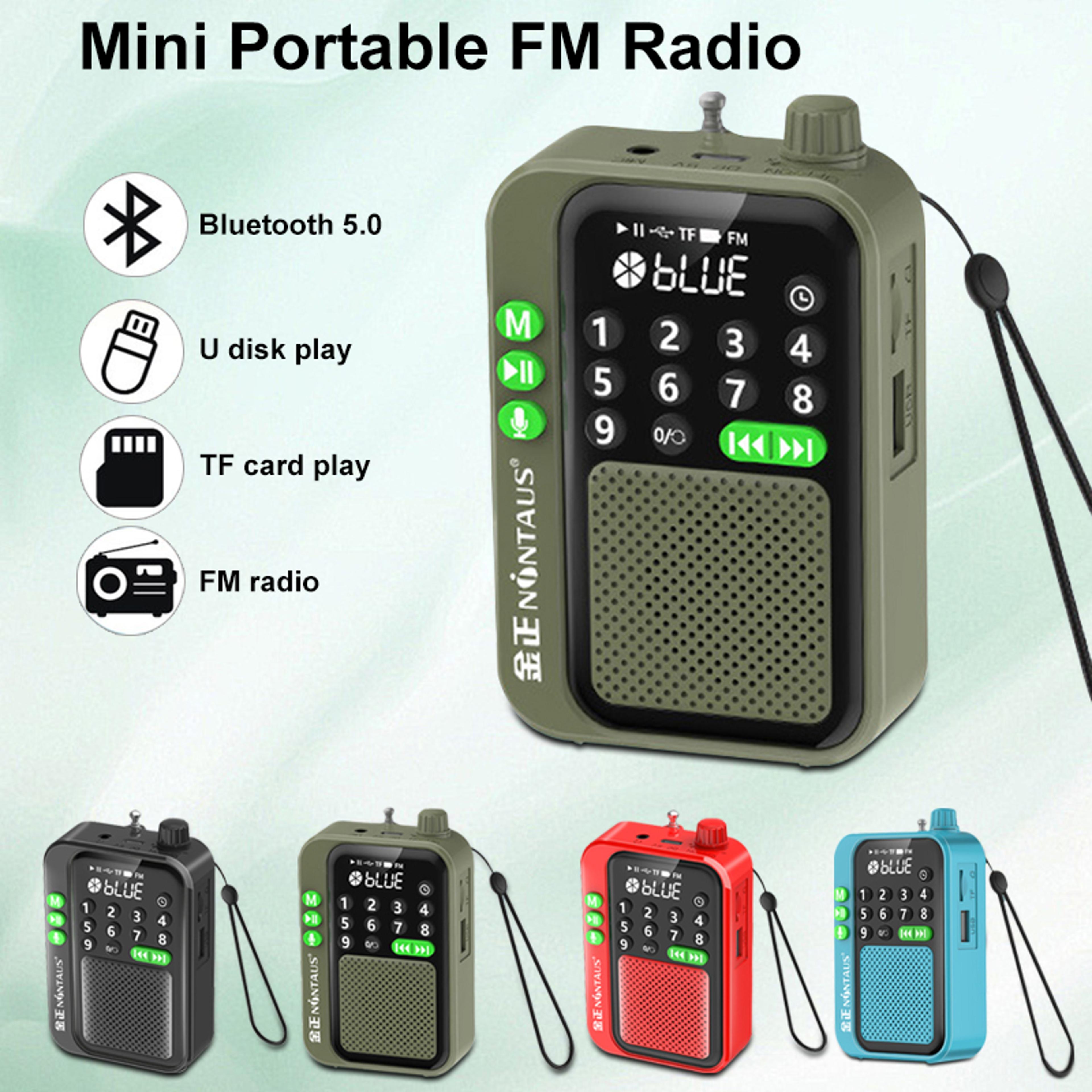 Mini Portable FM Radio Bluetooth Speaker With TF Card  U Disk Music Player Wireless HD Recording An 2