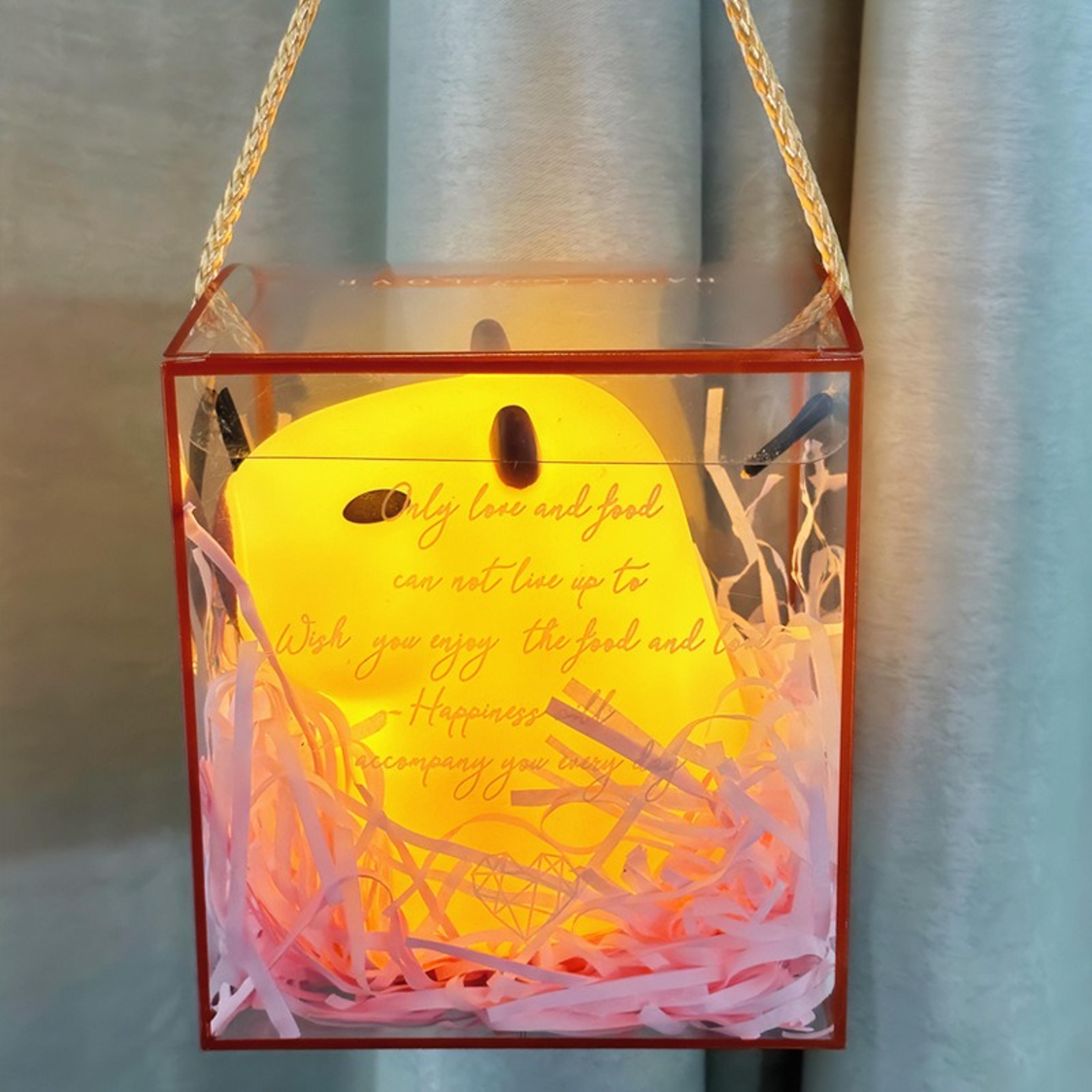 Cute Capybara Night Light Dimmable Battery Operated Kids Bedside Lamp For Nursery And Bedroom 5
