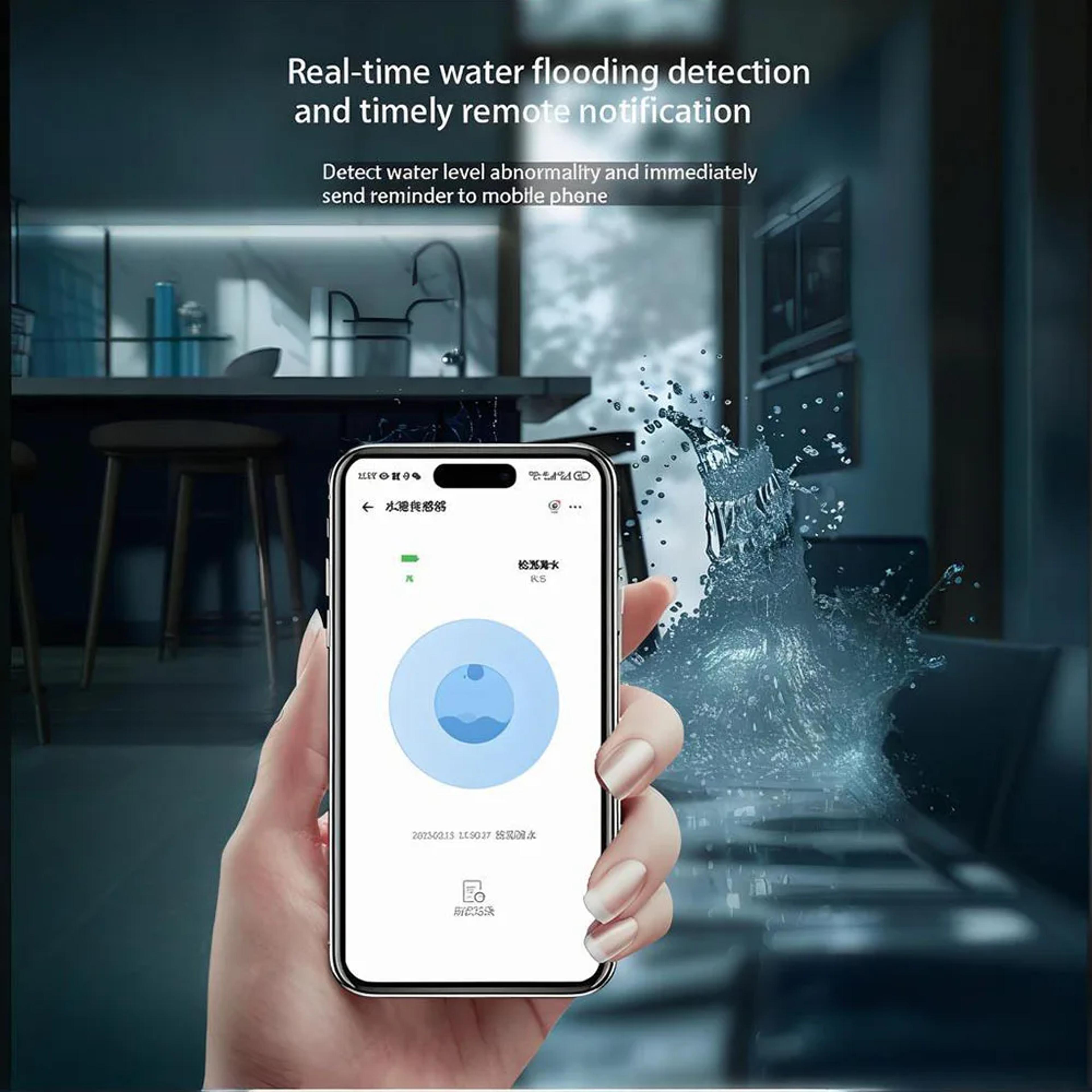 Rain Sensor Wireless Outdoor Water Leak Detector With EWeLink Automation 3
