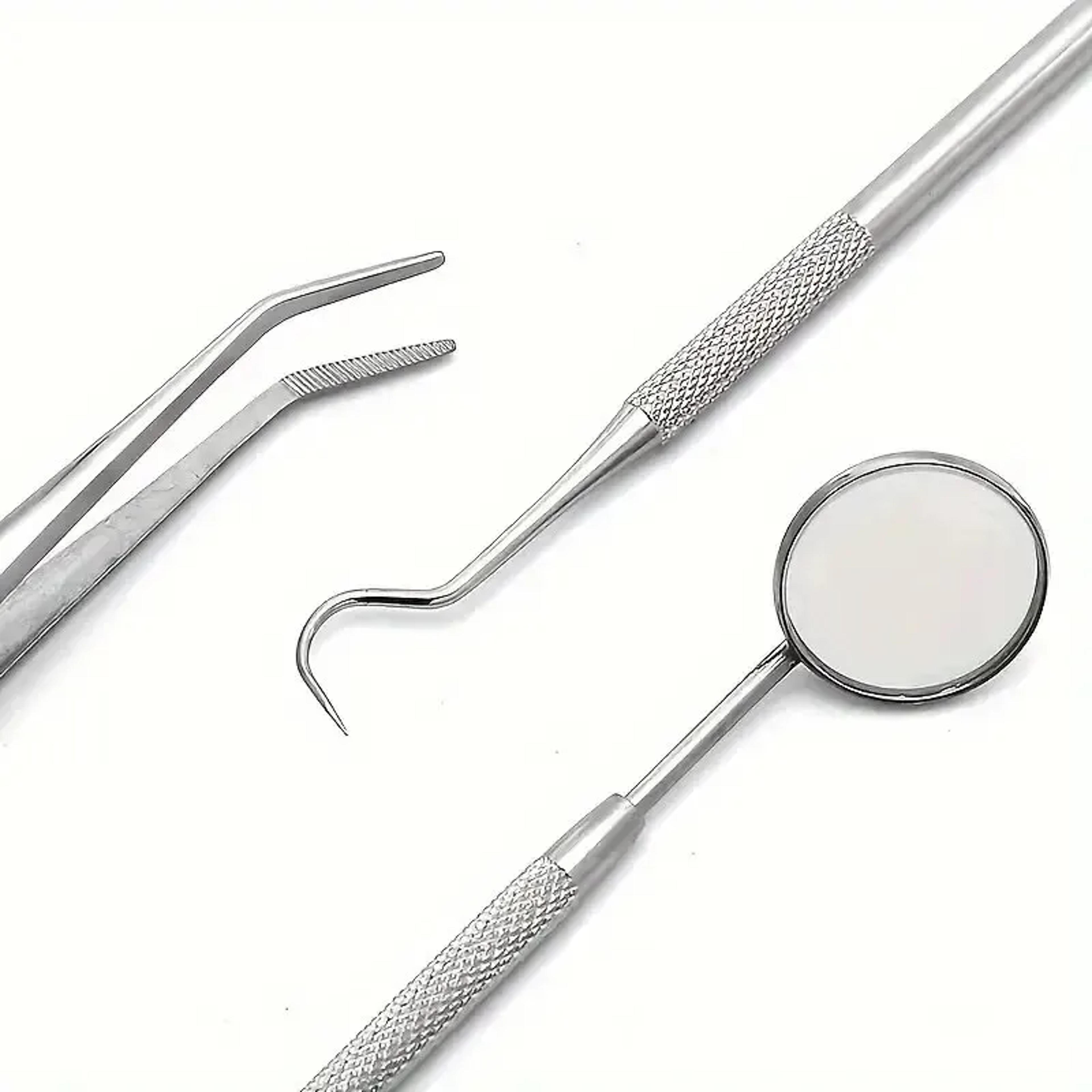 Professional Stainless Steel Dentist Oral Tools Set Mirror Flossing Tartar Removal  Cleaning Kit