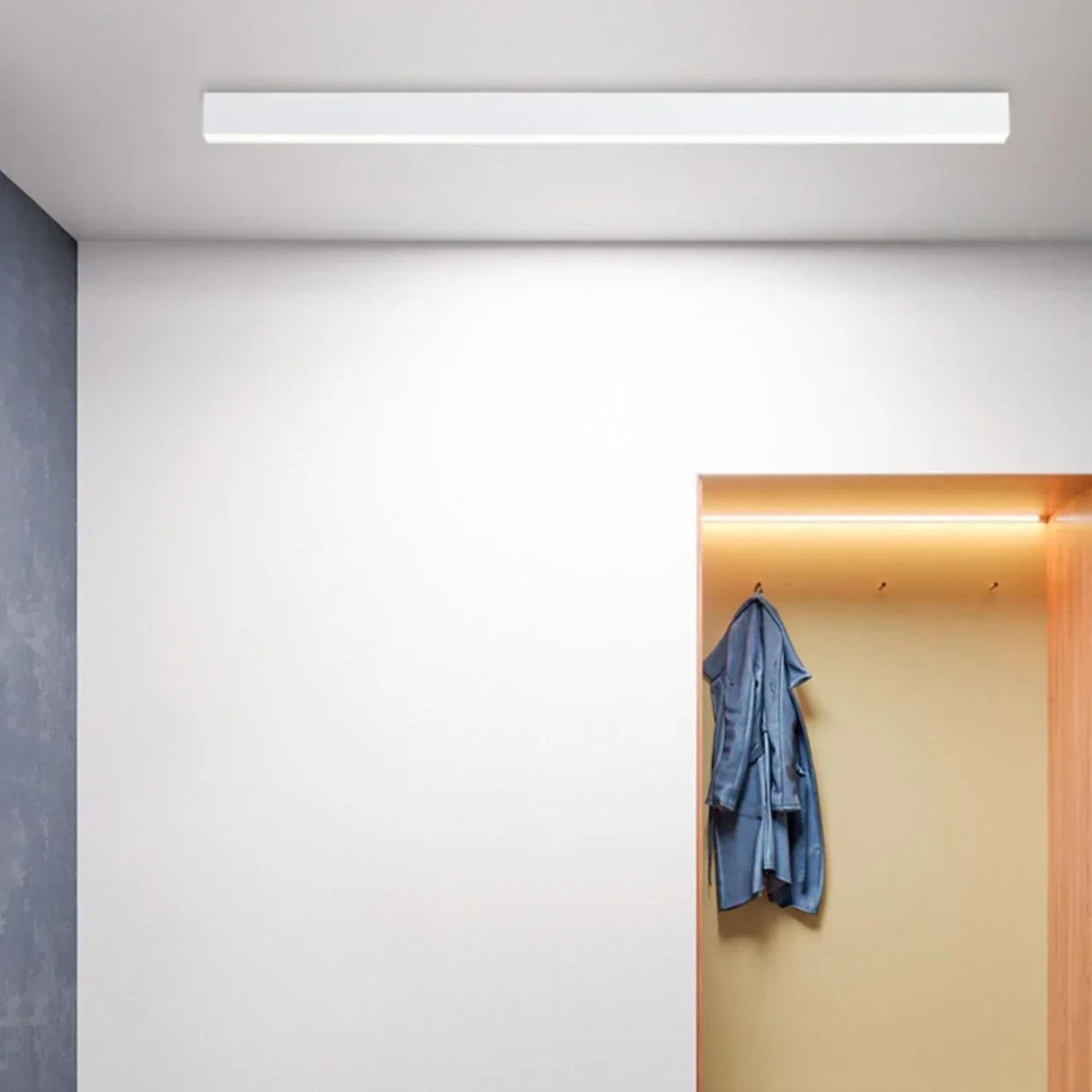 Waterproof Outdoor Long Strip Wall Lamp Sunshine Room And Corridor Entrance Light Rainproof Garden  4