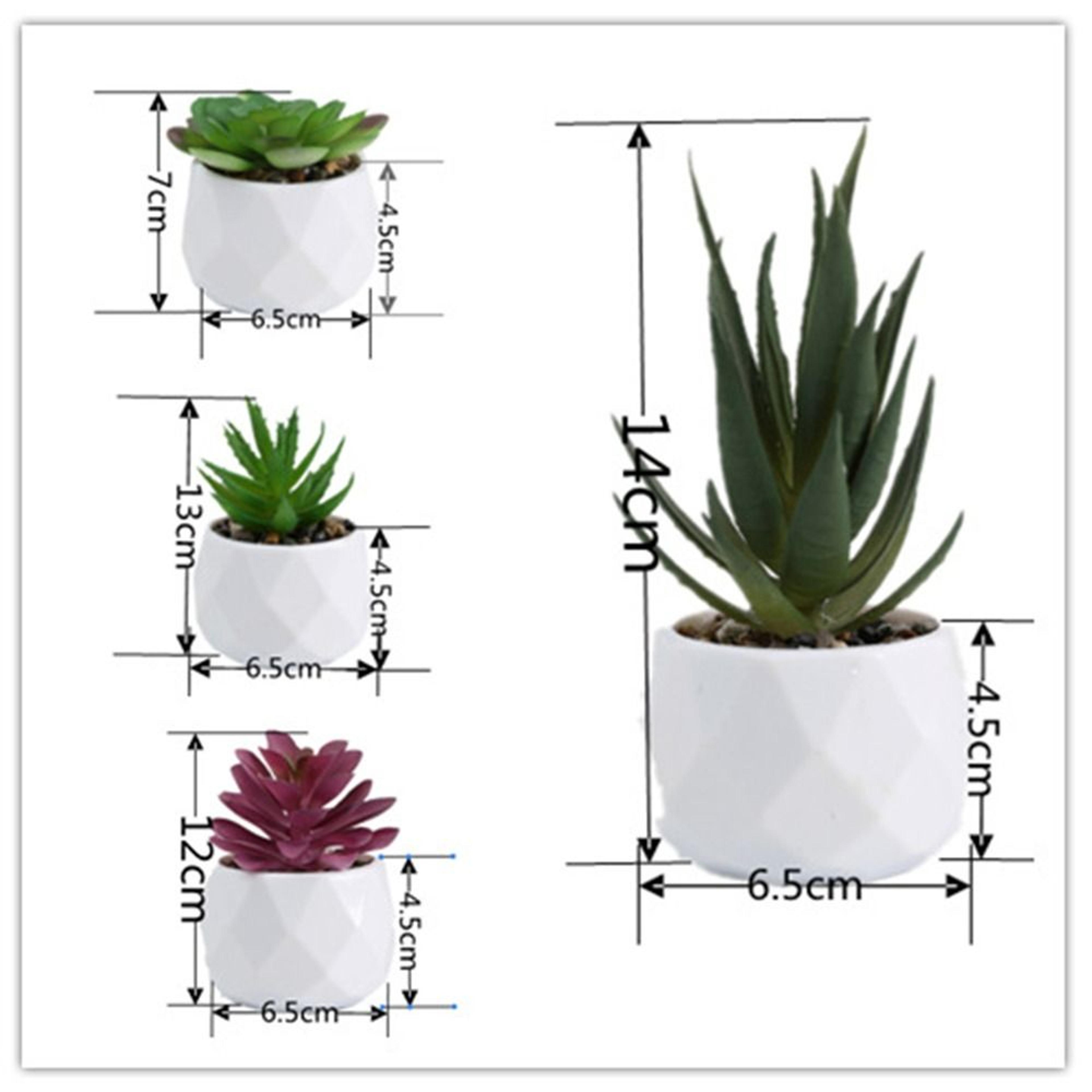 Simulation Succulents Plastic Bonsai Plants Artificial Evergreen Cactus Decor 5