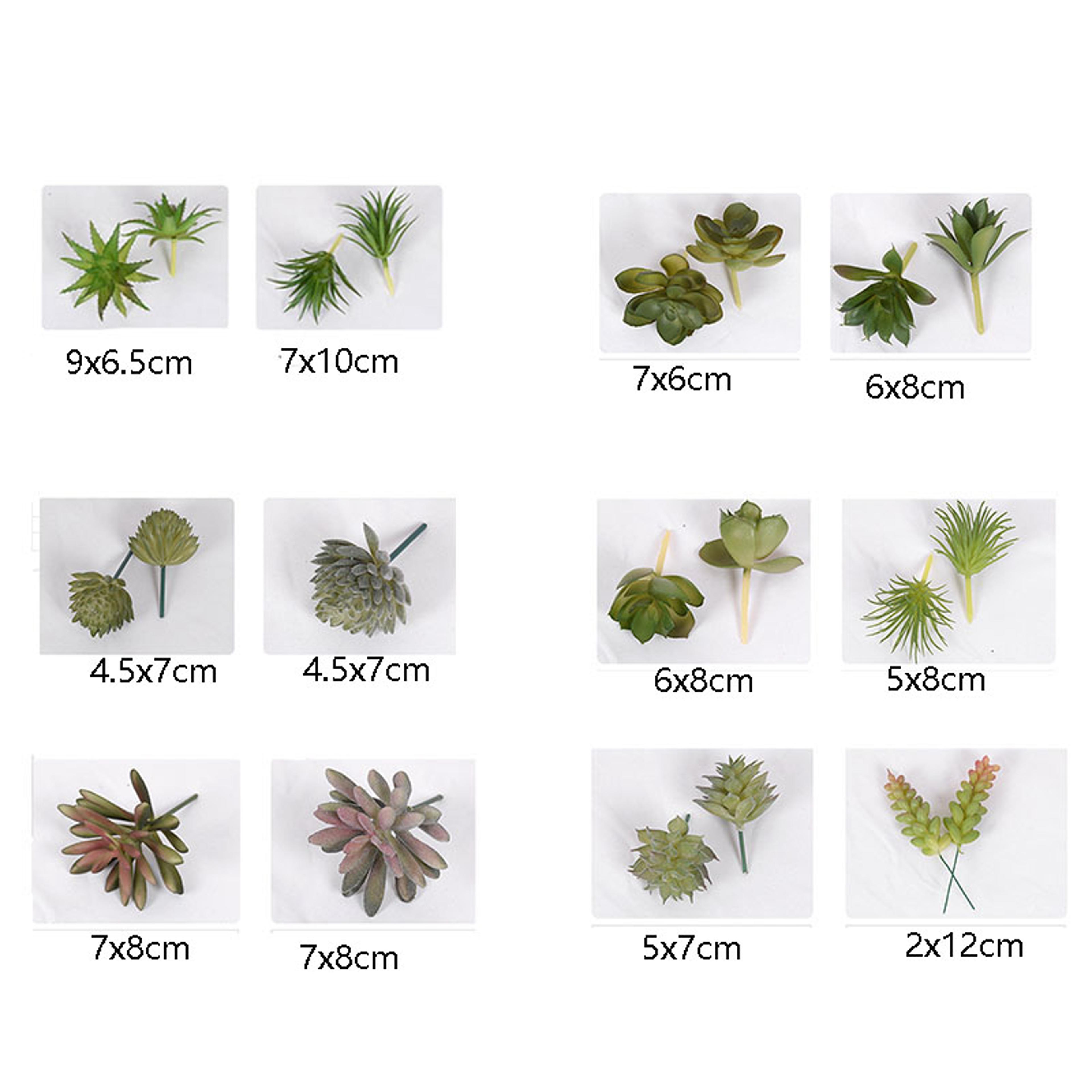 Cactus Small Ornaments Succulent Plants Green Plant Decorations Indoor Office Bonsai Garden Potted  2
