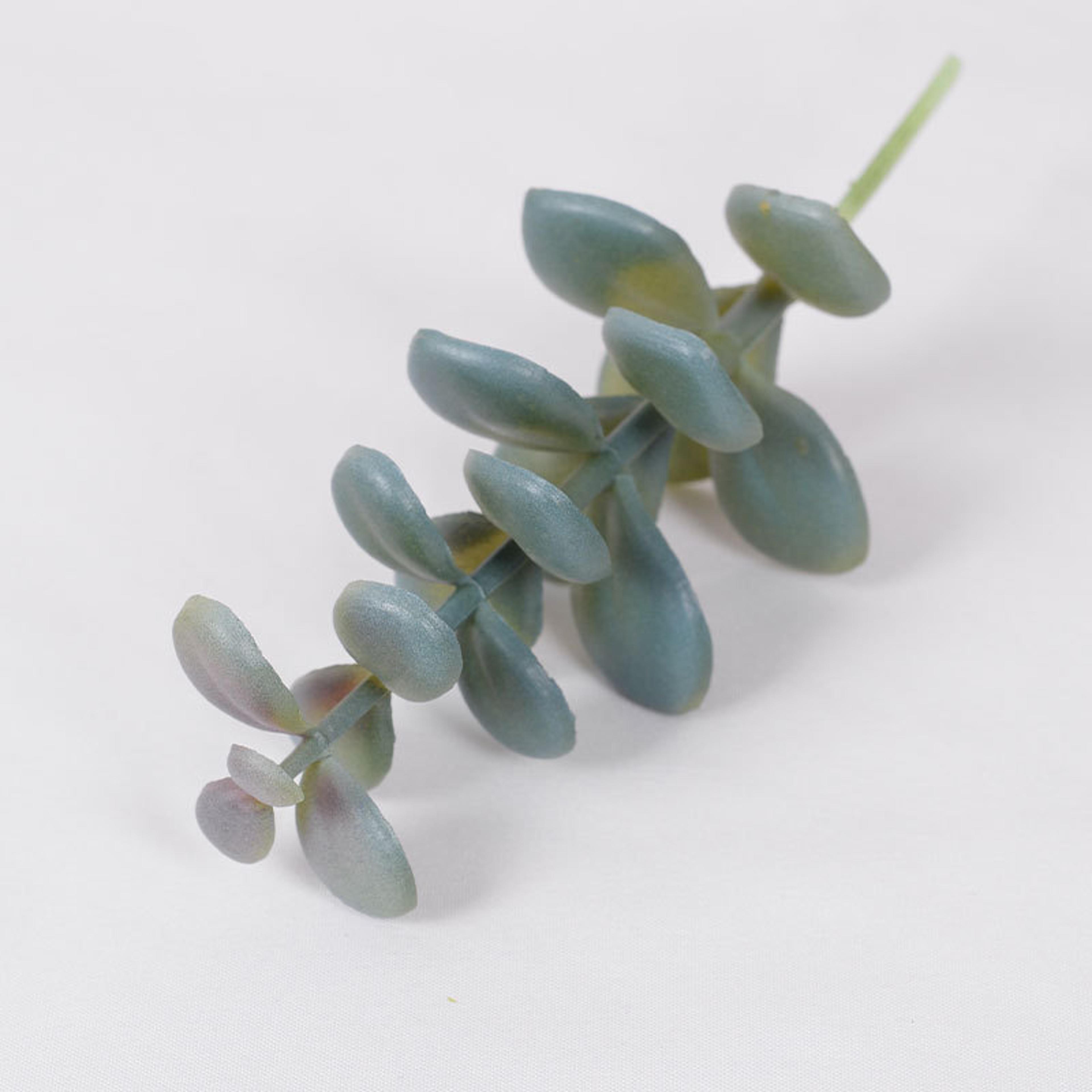 Cactus Small Ornaments Succulent Plants Green Plant Decorations Indoor Office Bonsai Garden Potted  6
