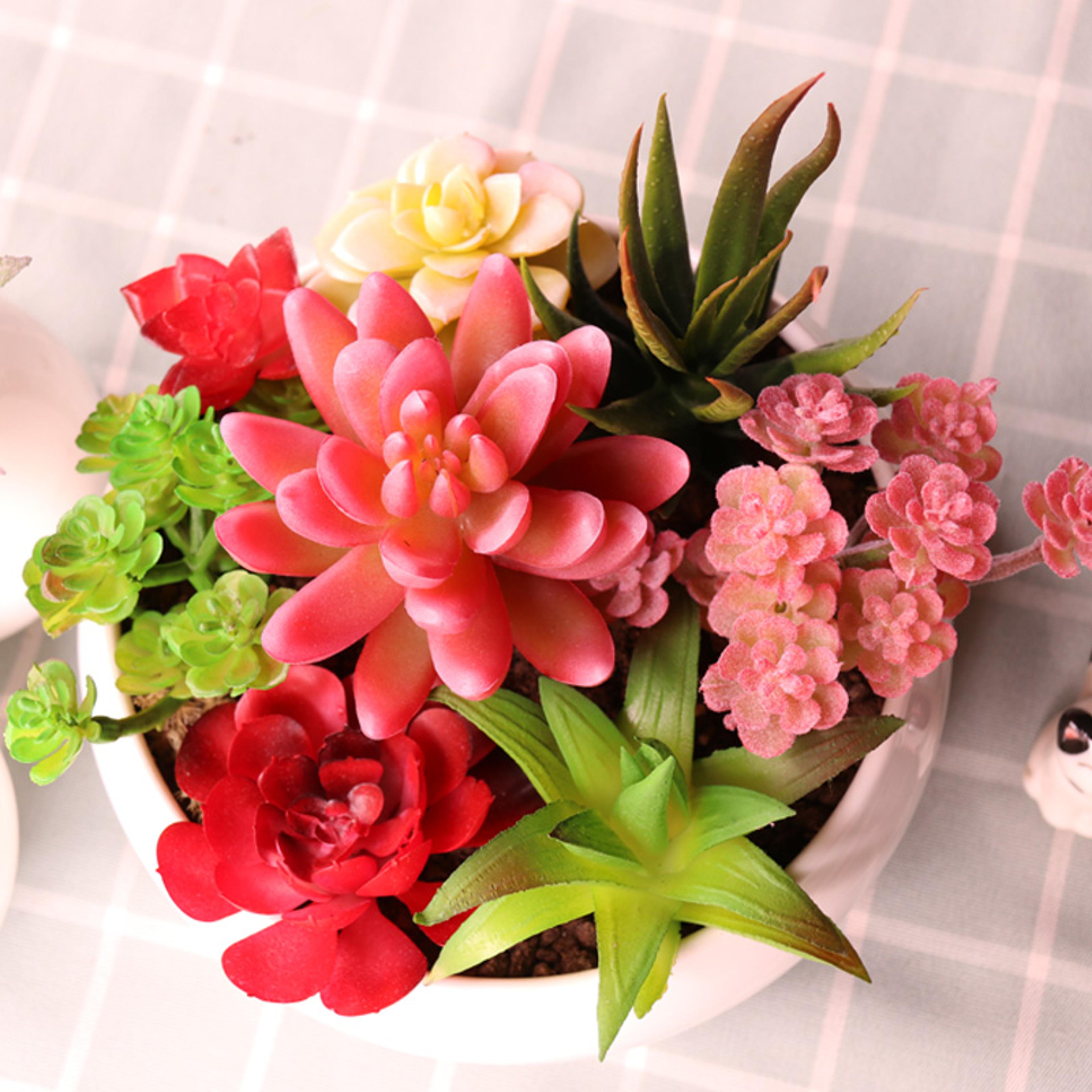 Plants Mini Artificial Succulent Plants For Home Garden Green Plastic Plants Ornament Decoration 4