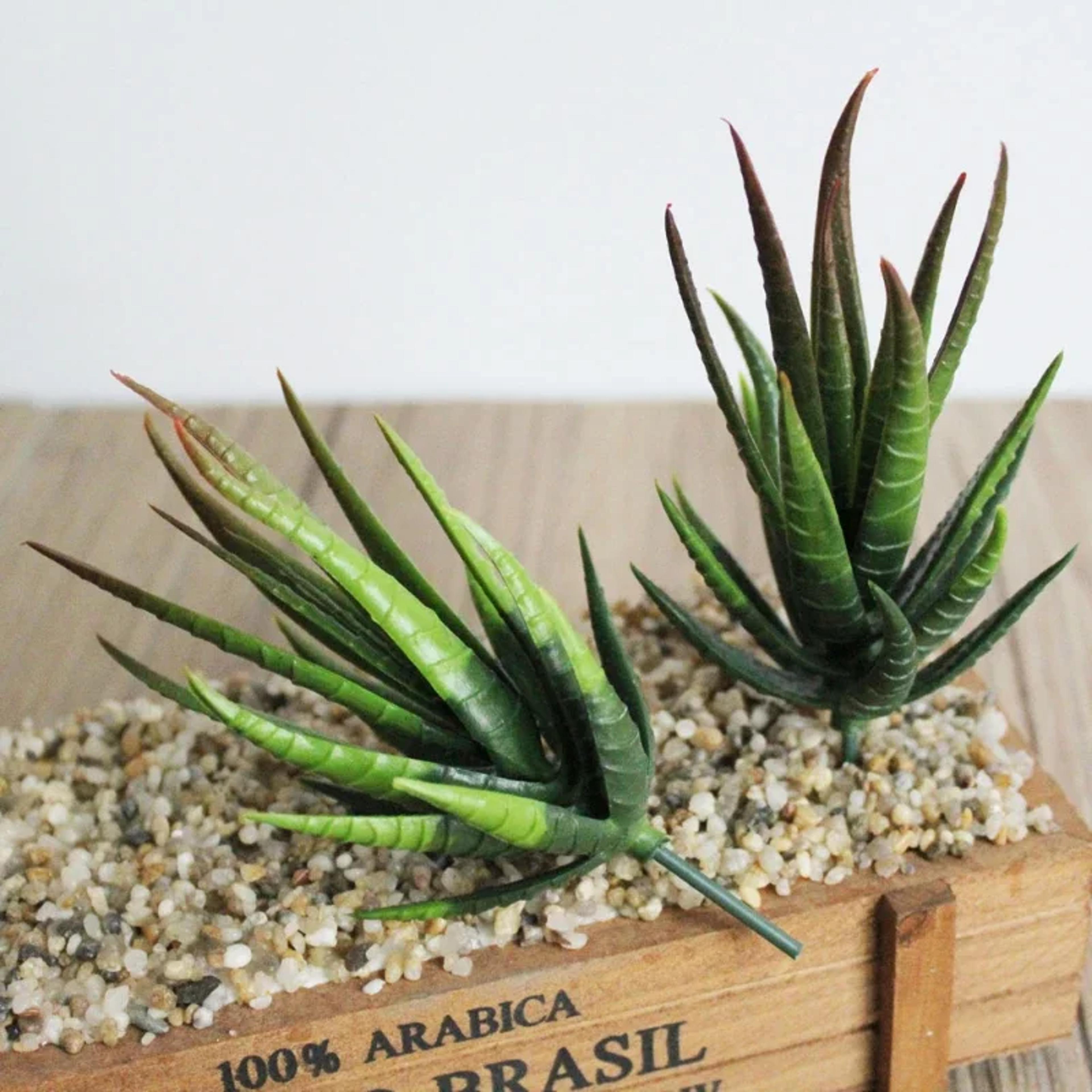 plants arrangement, artificial succulent garden, bedroom office decoration