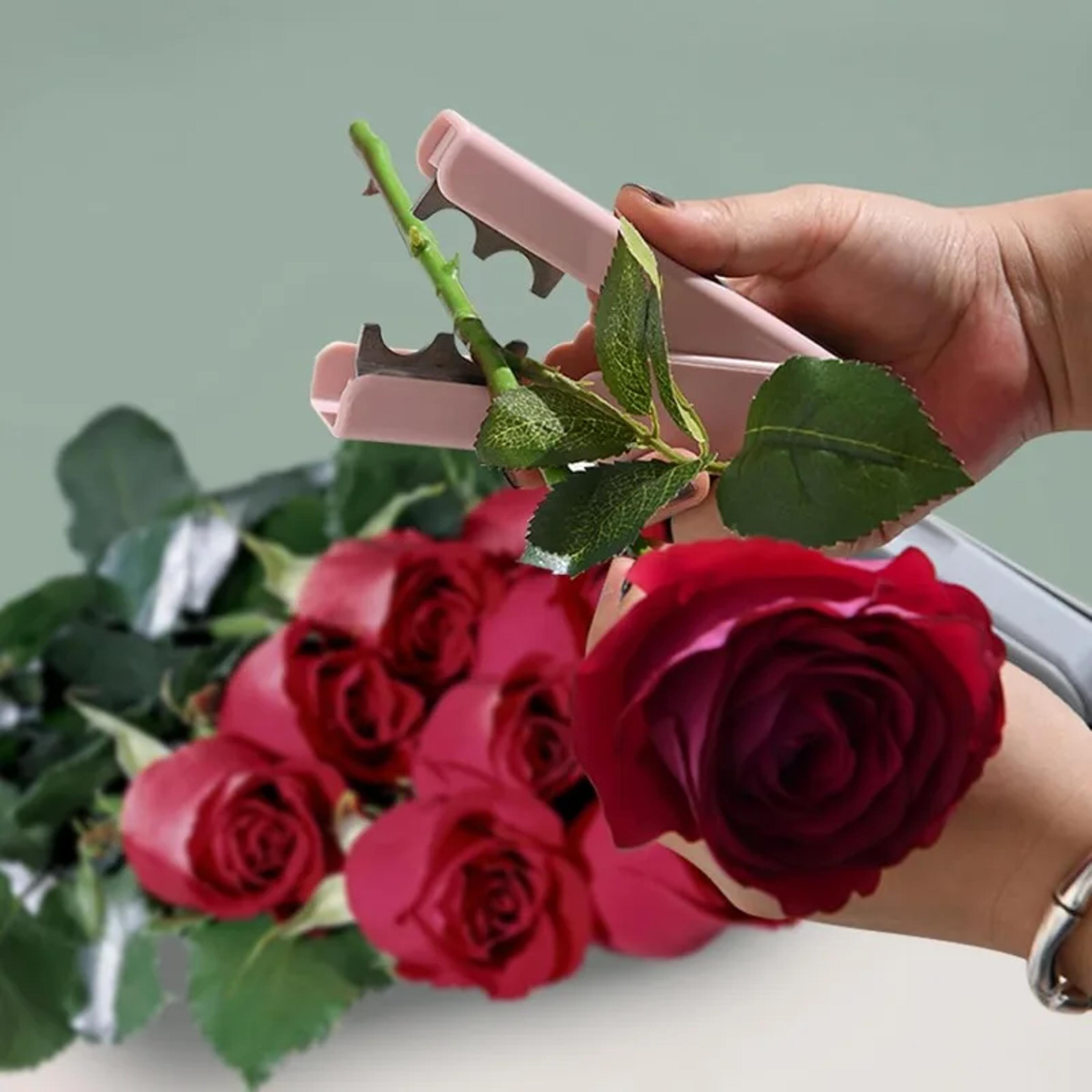 13510PCS Rose Thorn Remover Flower Thorn Stem Leaf Stripper Rose Pincers Portable Florist Gardening 0