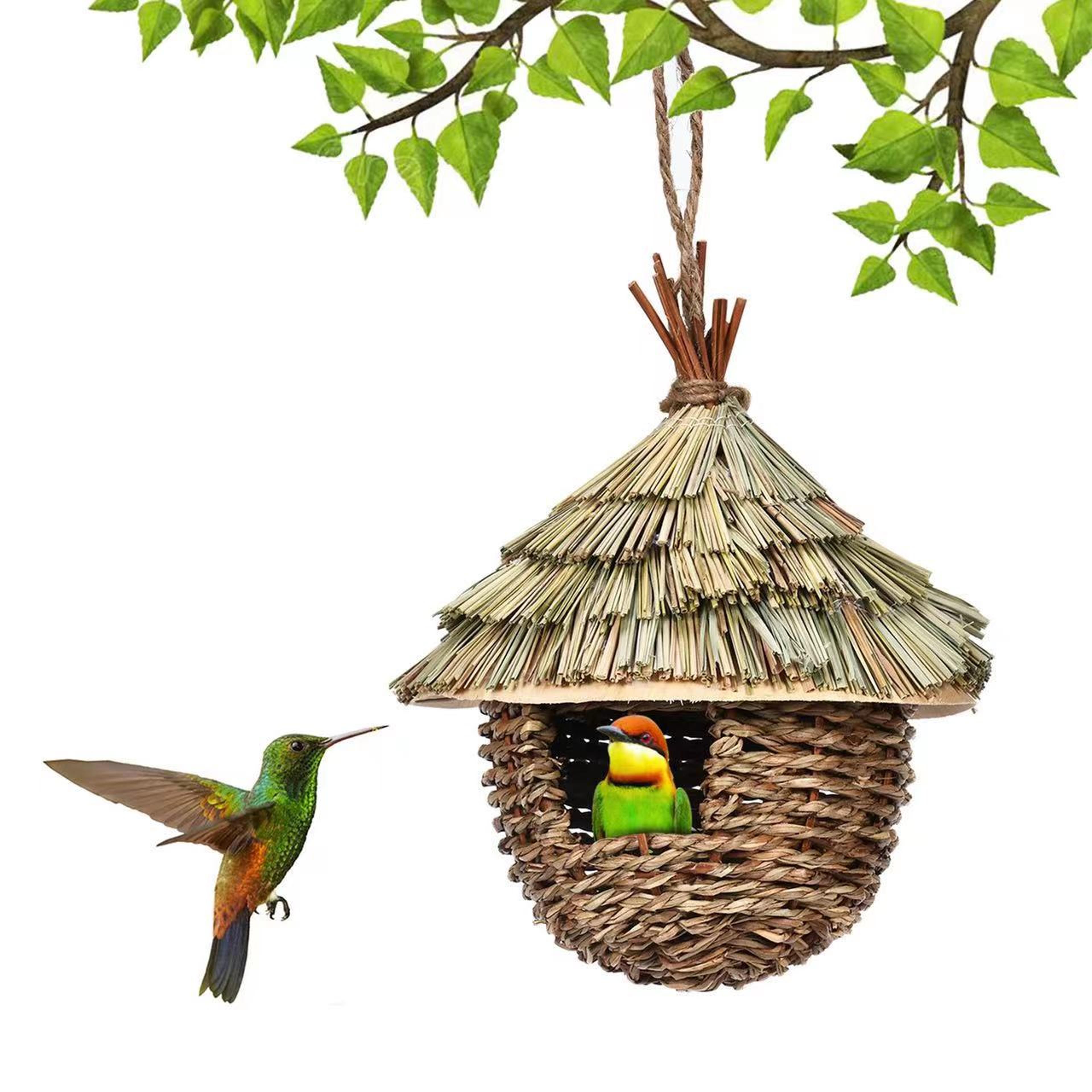 Thumbnail Image
