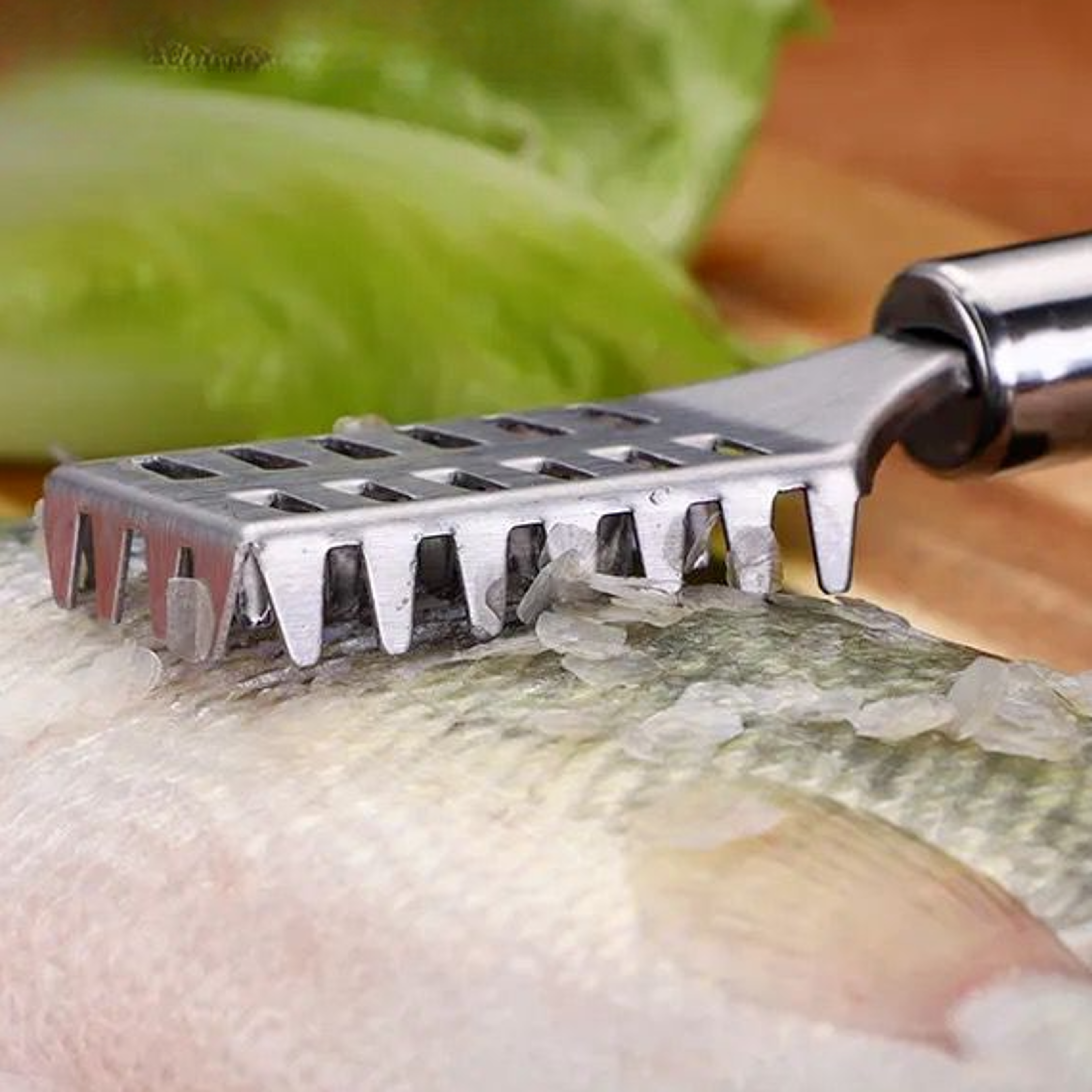 easy-to-use stainless steel fish scale scraper, essential kitchen tool