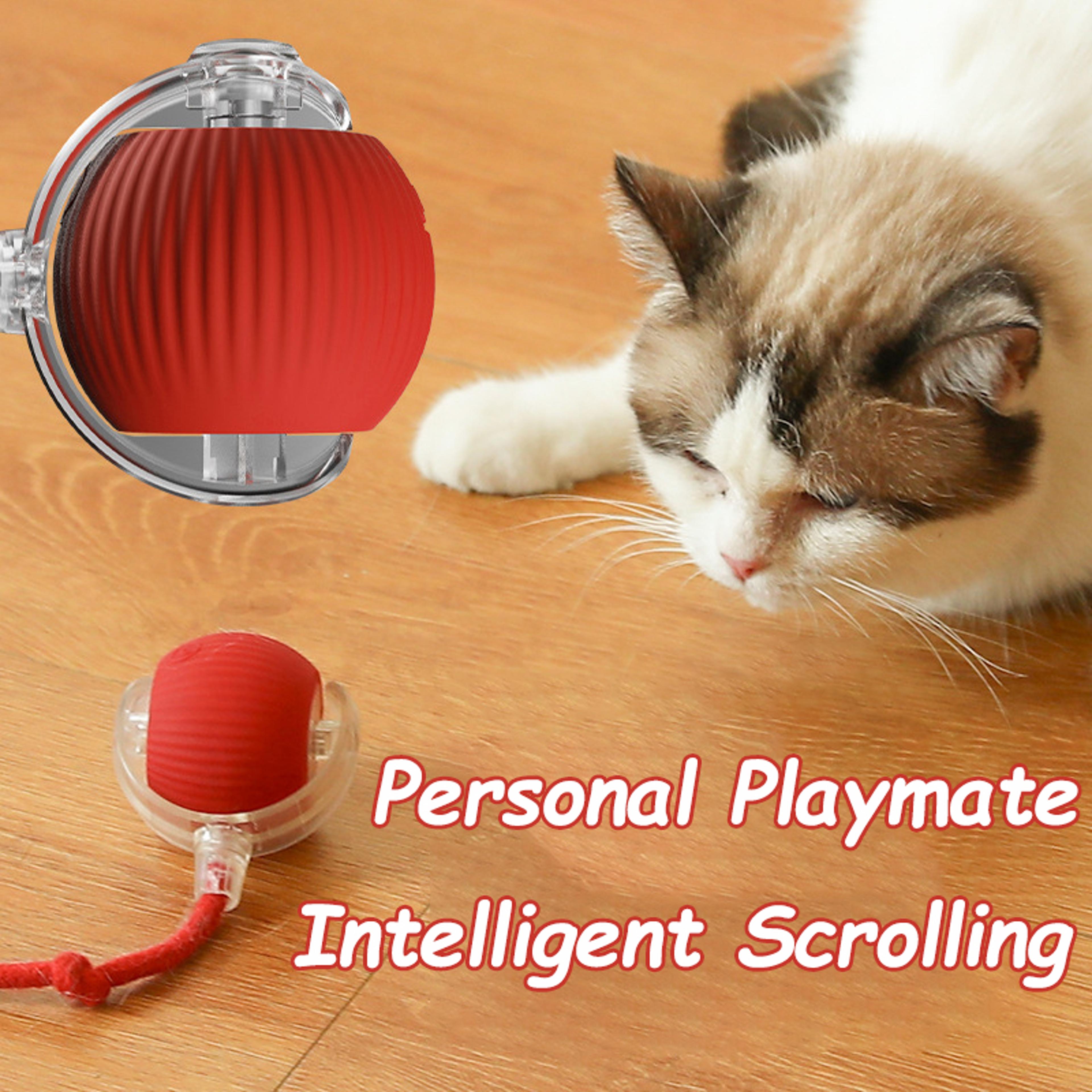 Rechargeable Smart Pet Toy  Interactive Rolling Ball With Faux Tail For Cats  Dogs 2