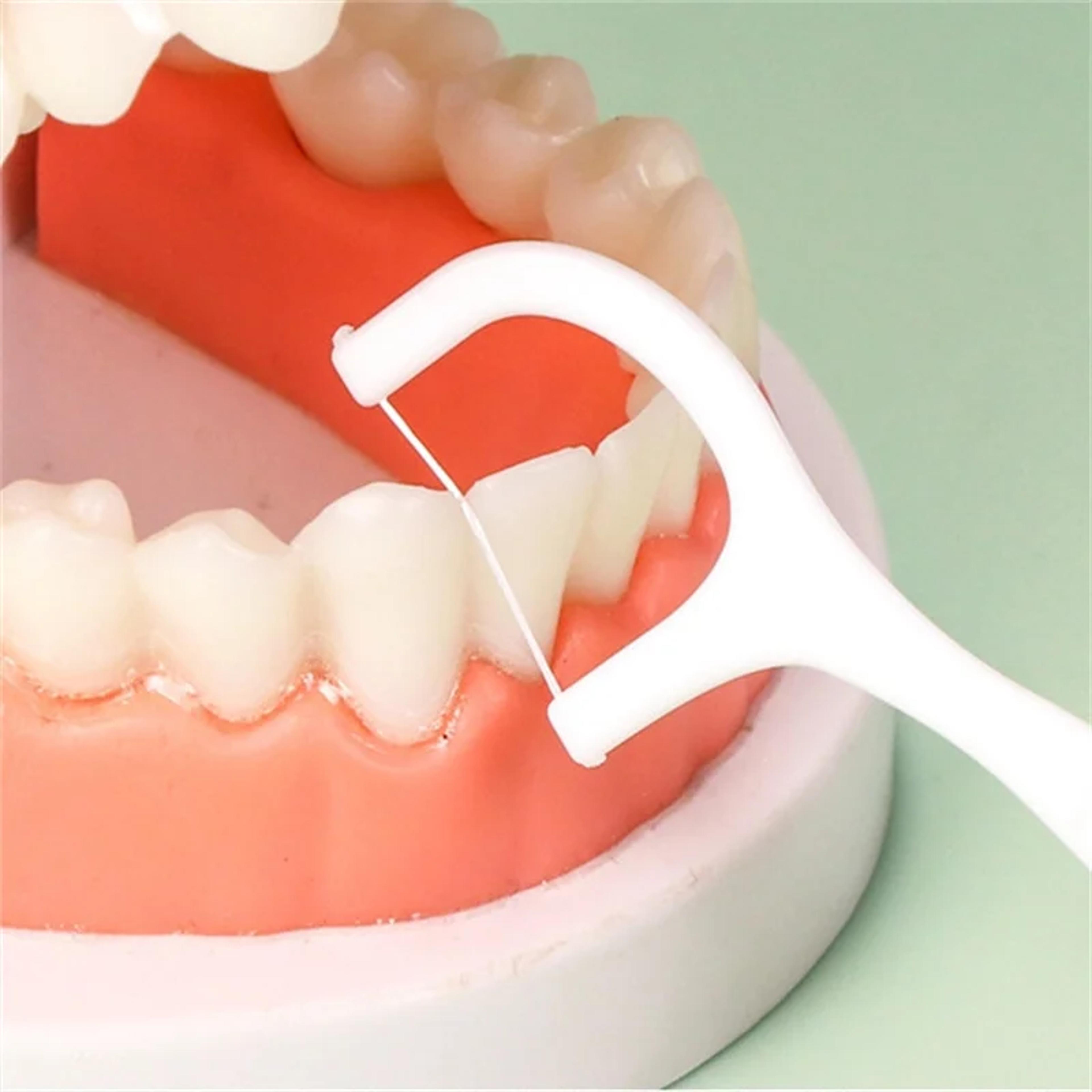 portable disposable dental floss picks compact oral care sticks for easy teeth cleaning