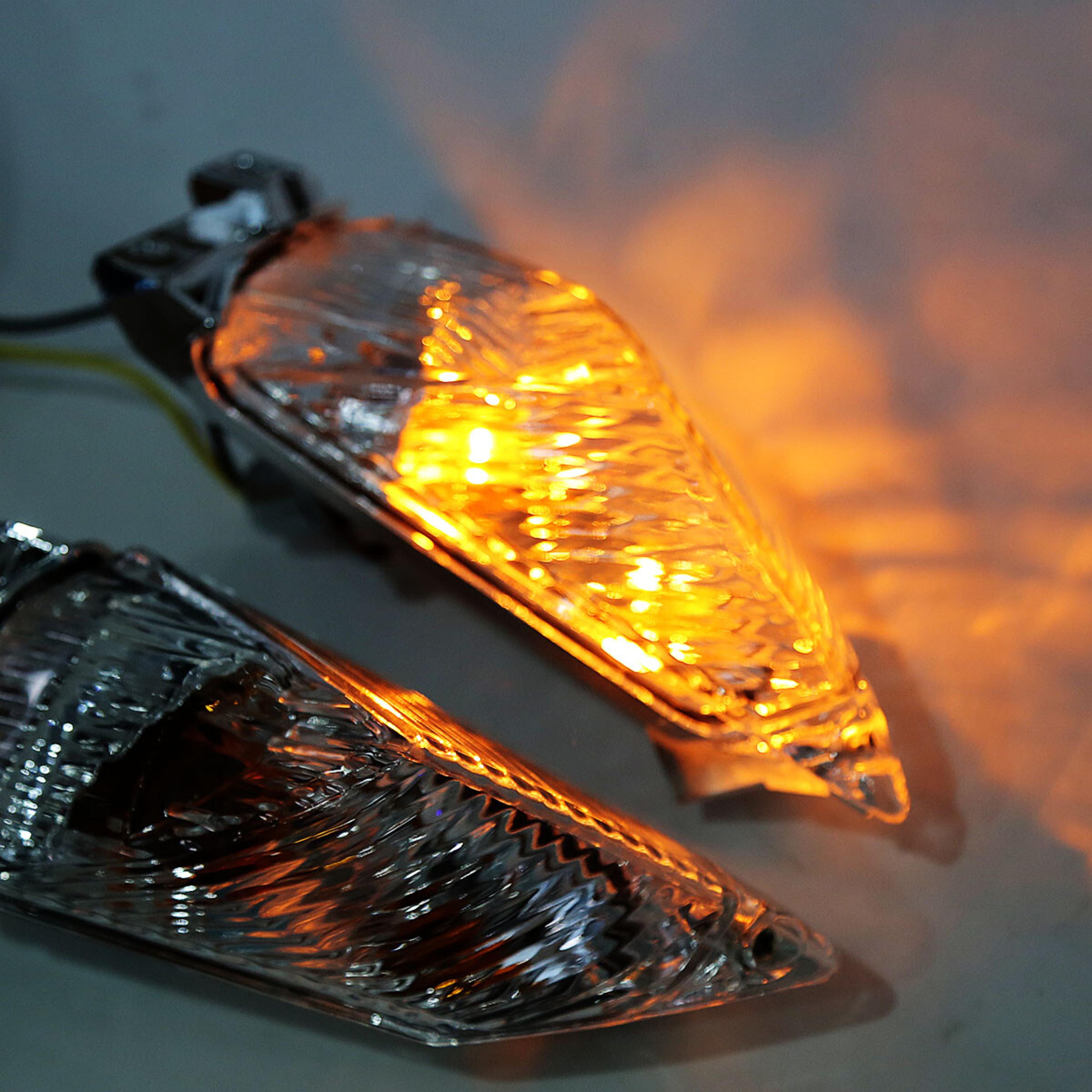 Rear Turn Signal Lights 2