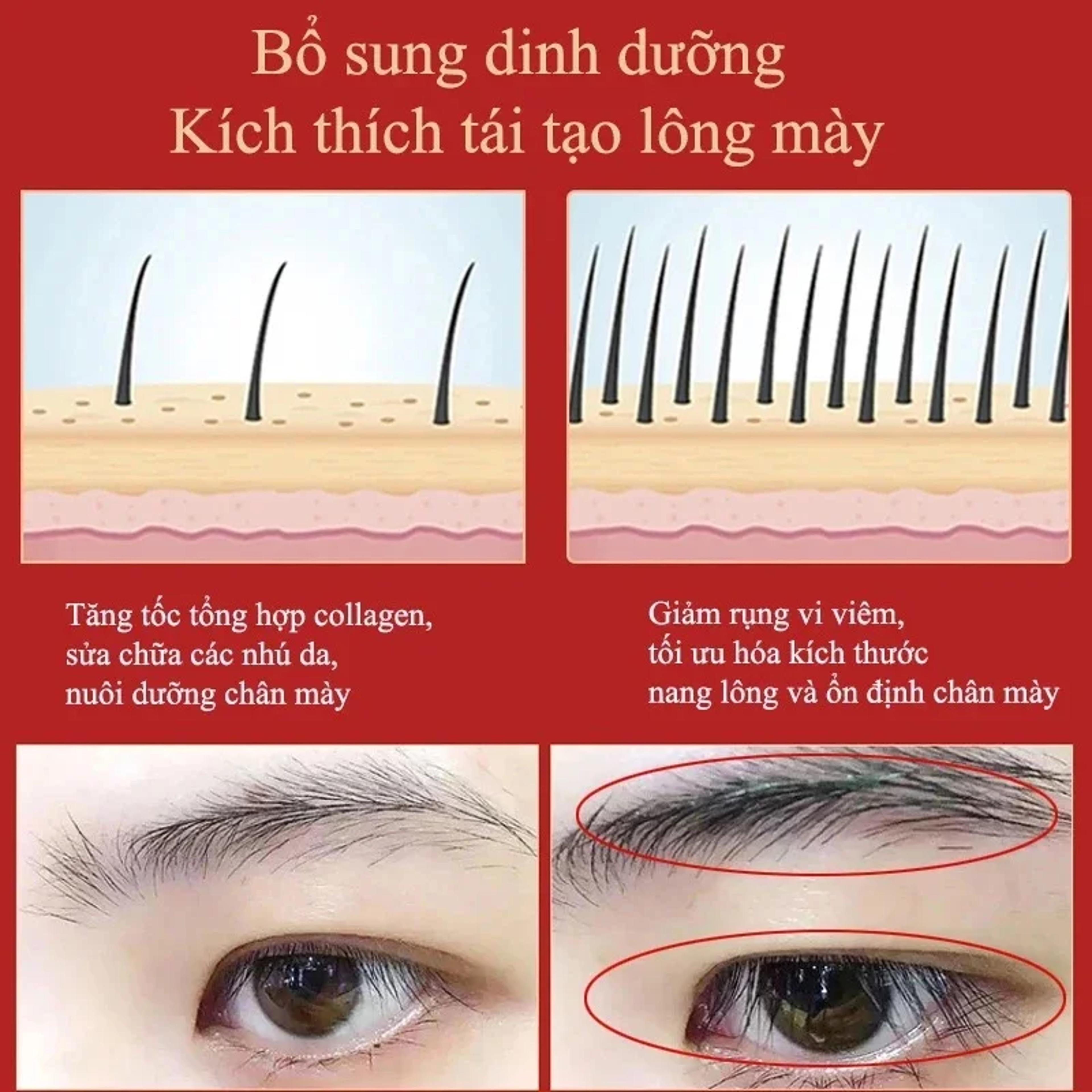 Eyebrow Hair Growth Serum For Thick And Healthy Brows 3