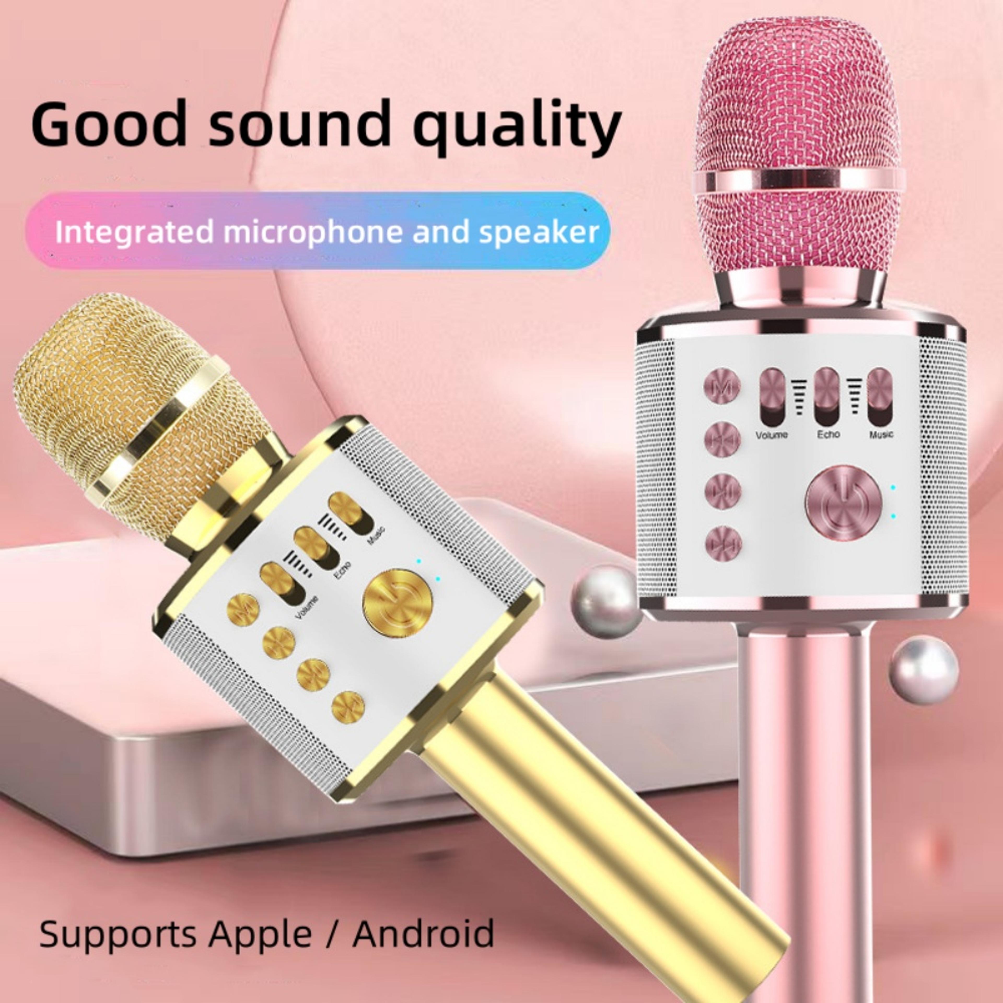 Portable Bluetooth Karaoke Microphone With Wireless Speaker For Kids  Family Fun 1
