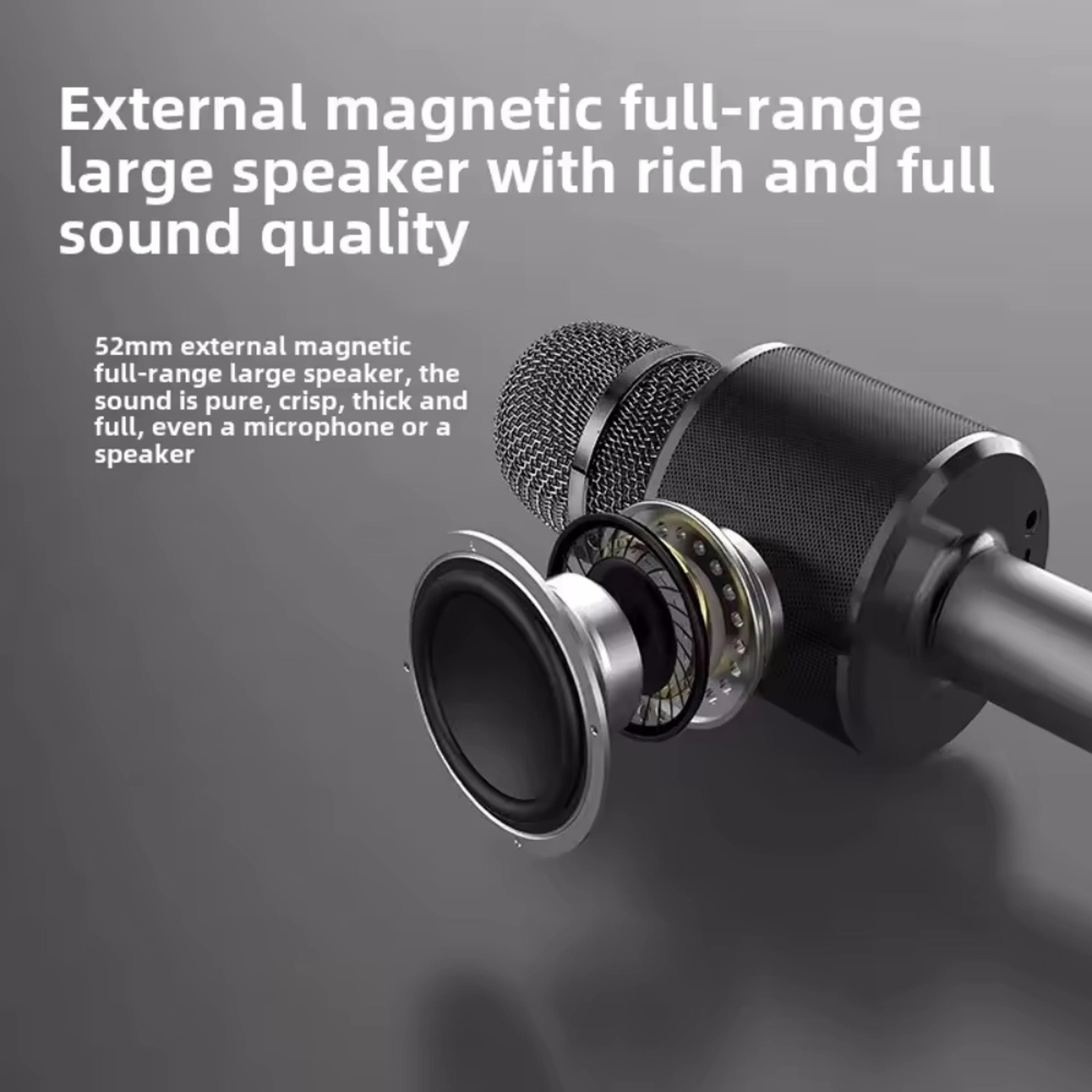 Portable Bluetooth Karaoke Microphone With Wireless Speaker For Kids  Family Fun 3