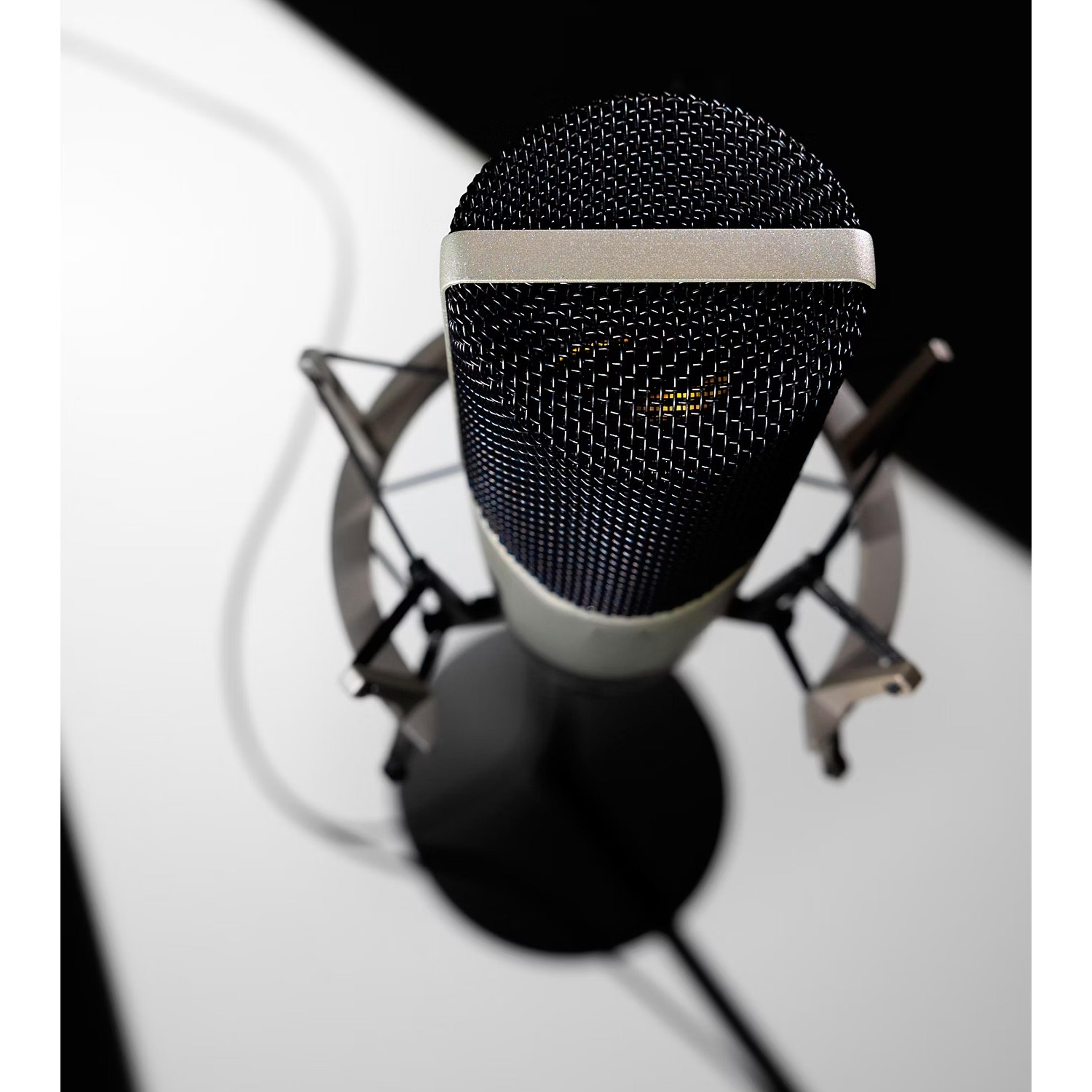 Professional XLR Condenser Microphone With Shock Mount For Streaming Recording  Podcasting 1