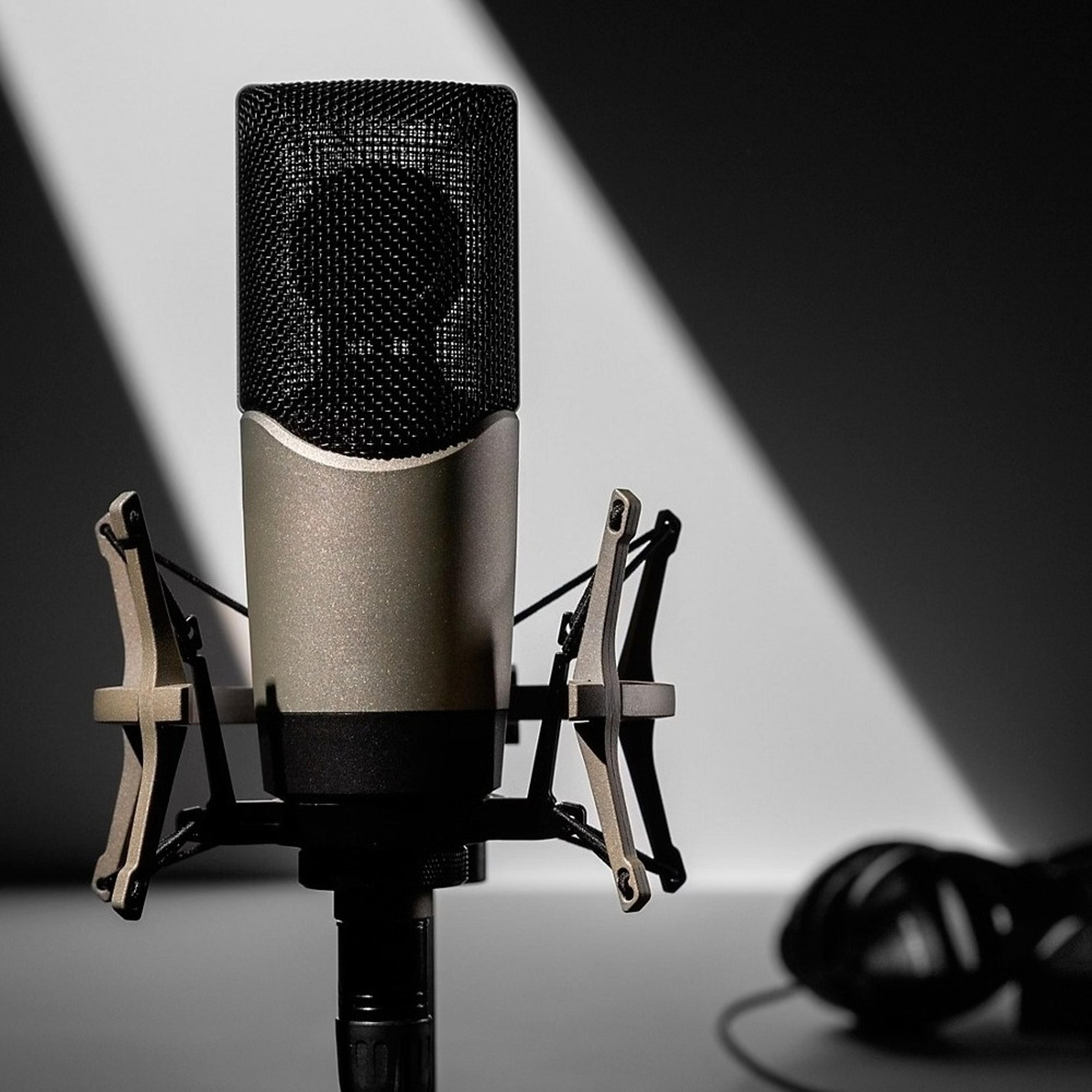 Professional XLR Condenser Microphone With Shock Mount For Streaming Recording  Podcasting 2