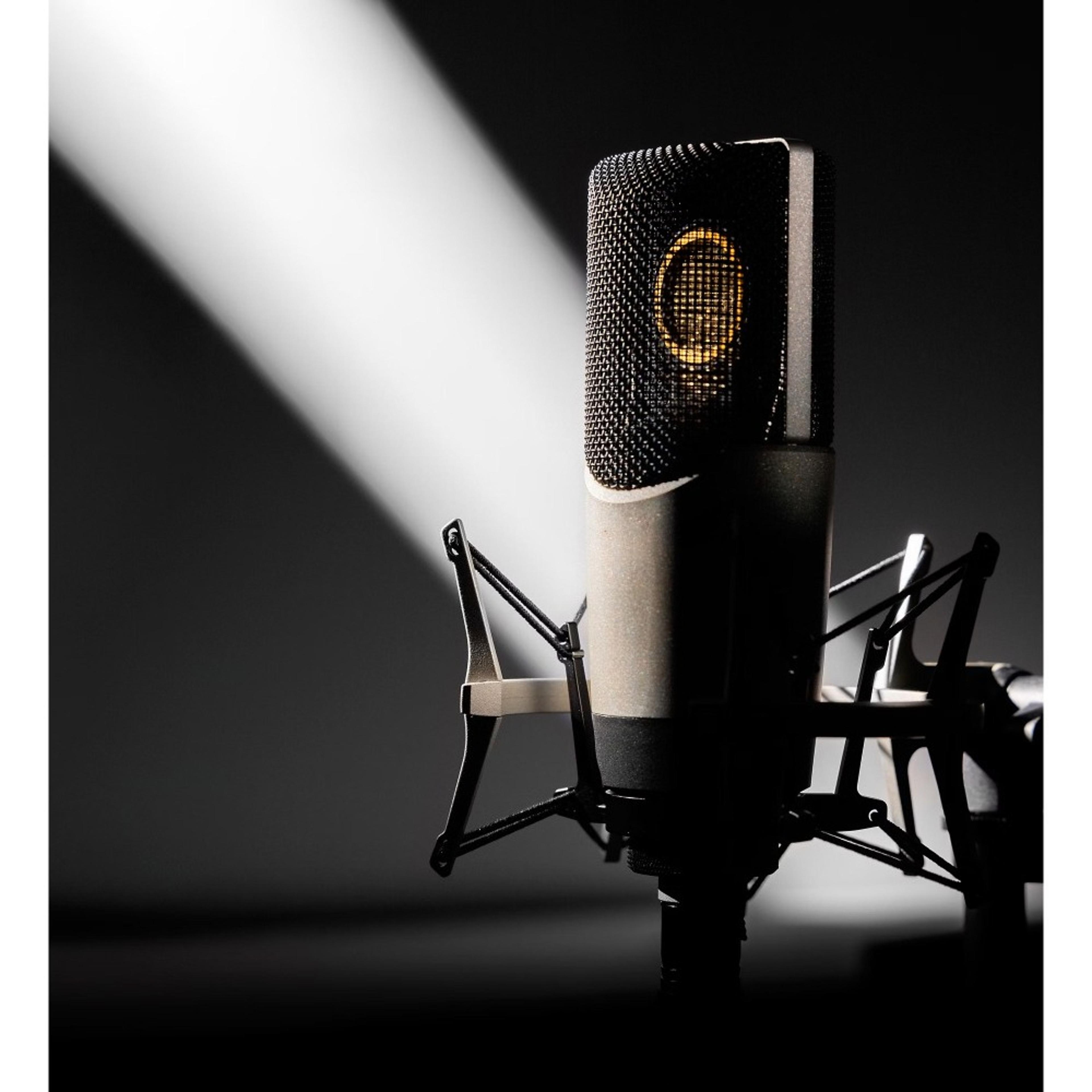 Professional XLR Condenser Microphone With Shock Mount For Streaming Recording  Podcasting 3