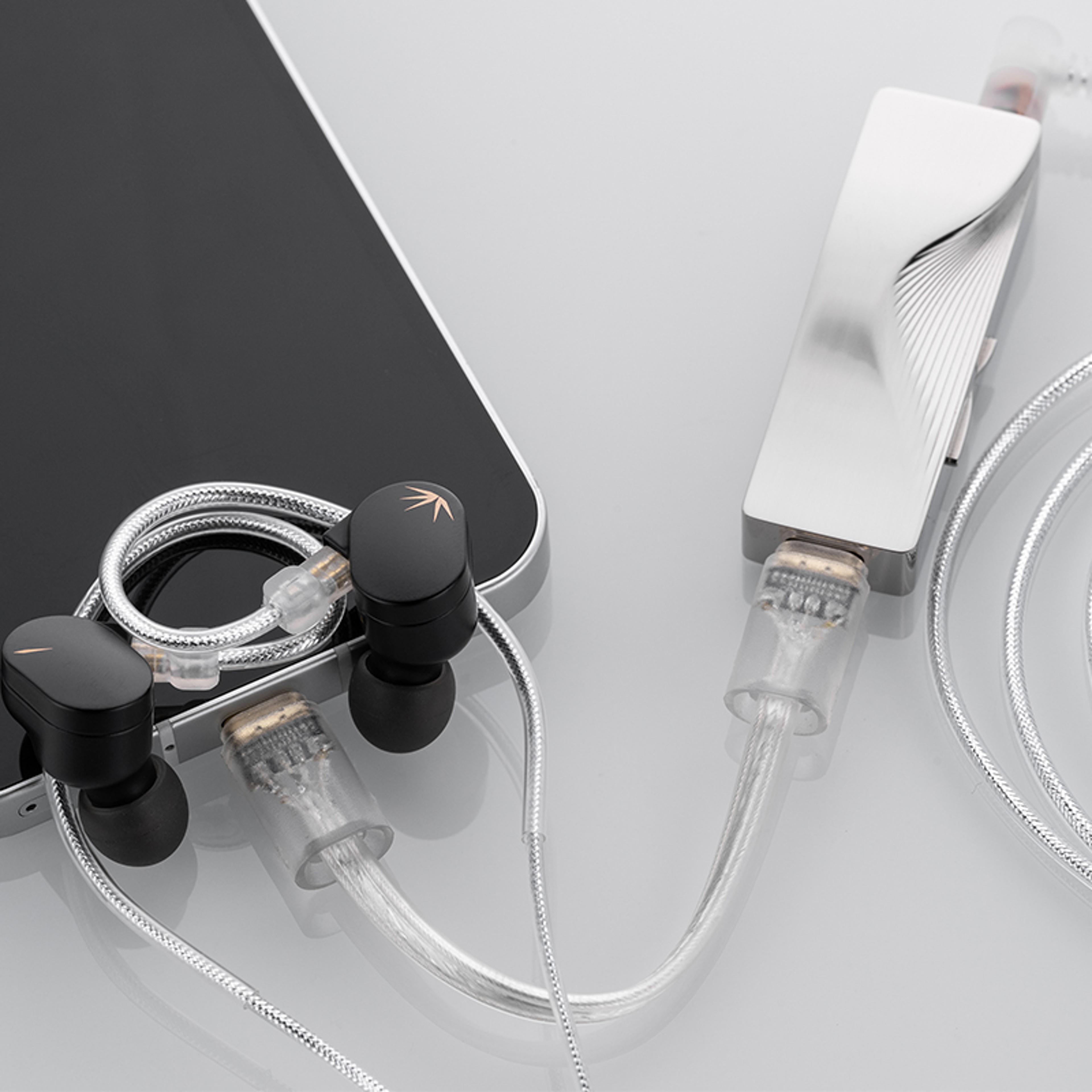 HiFi Dynamic Driver IEM Earphones With Detachable Cable 4