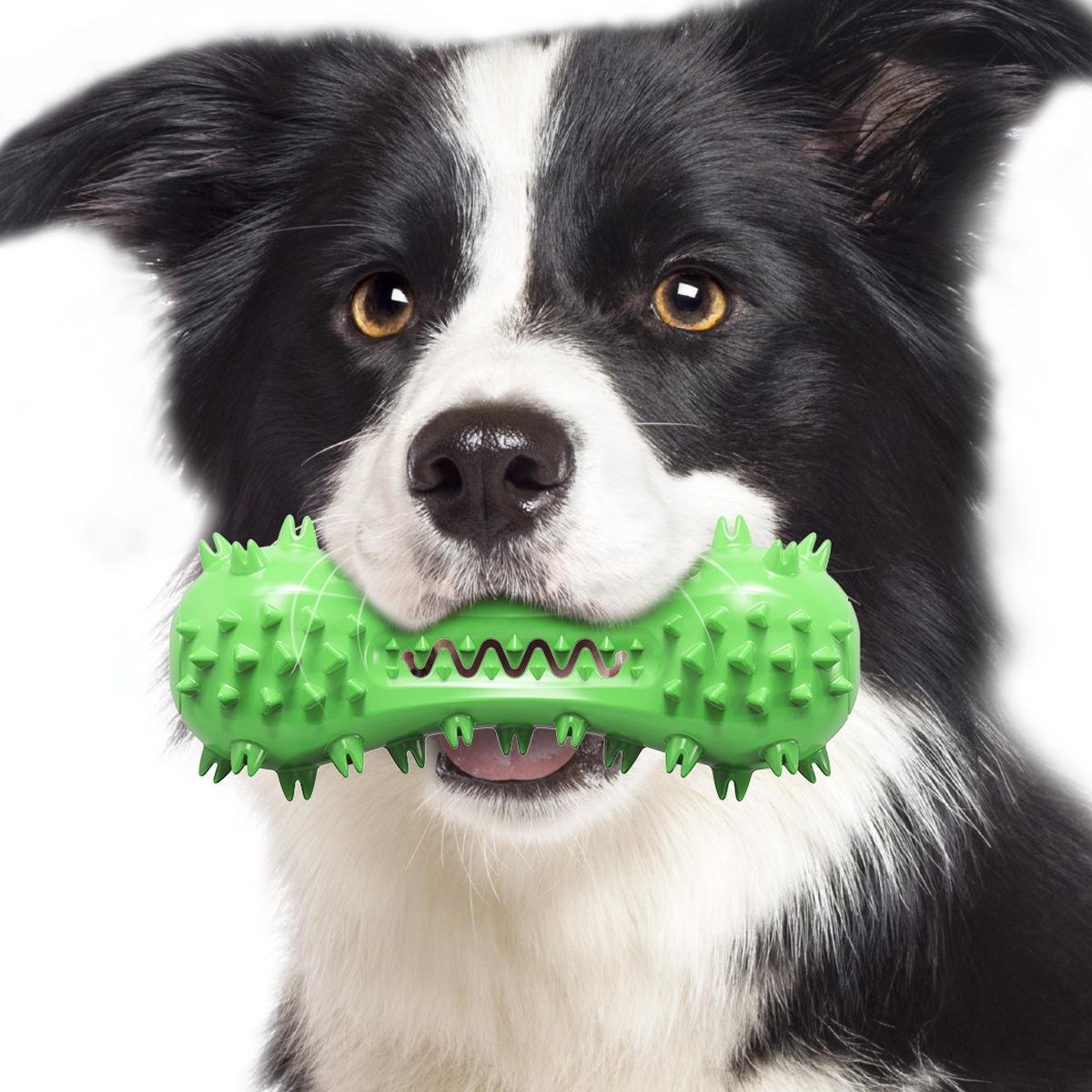 Bite Resistant Dog Toothbrush Toy Molar Stick For Medium And Large Dogs 9