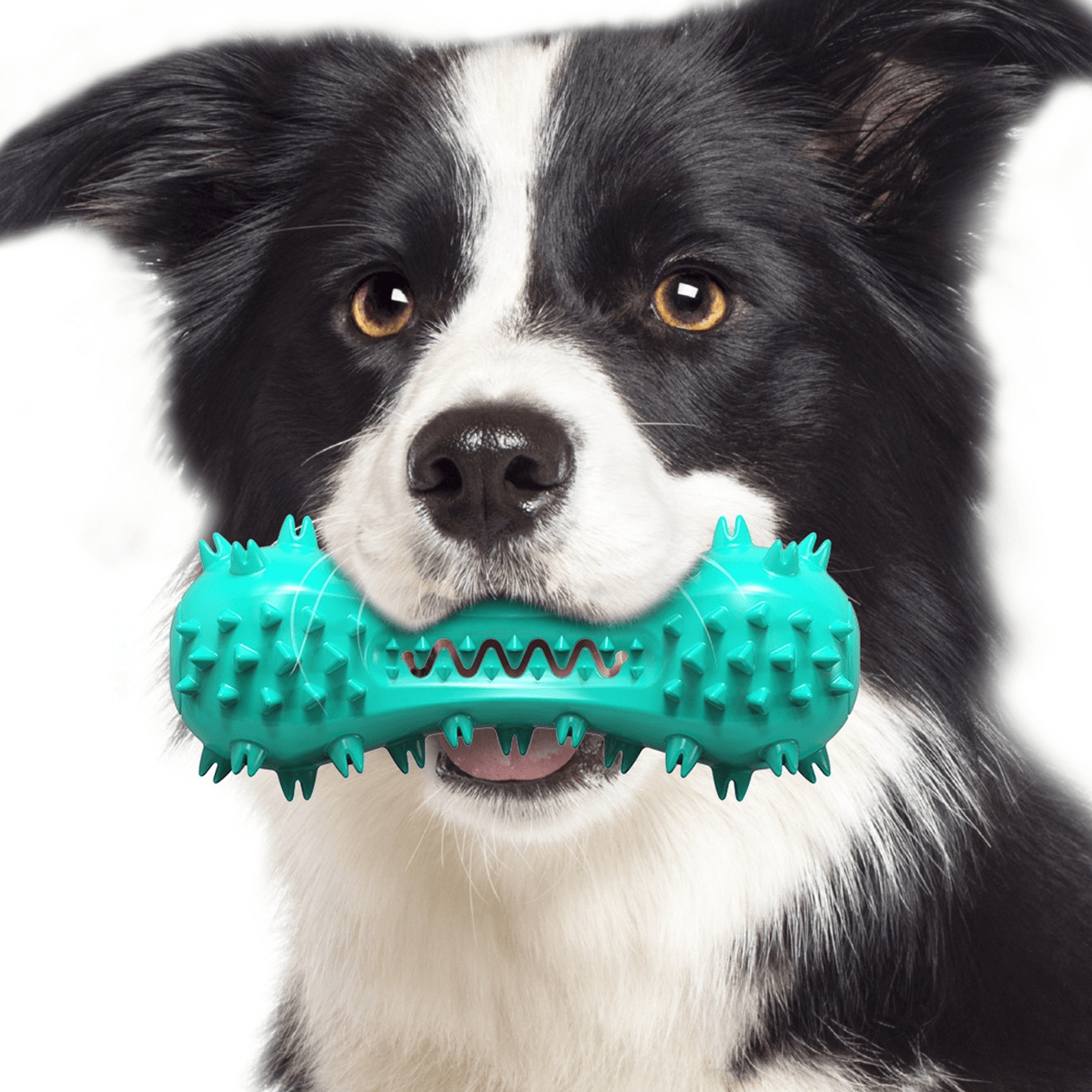 Bite Resistant Dog Toothbrush Toy Molar Stick For Medium And Large Dogs 7